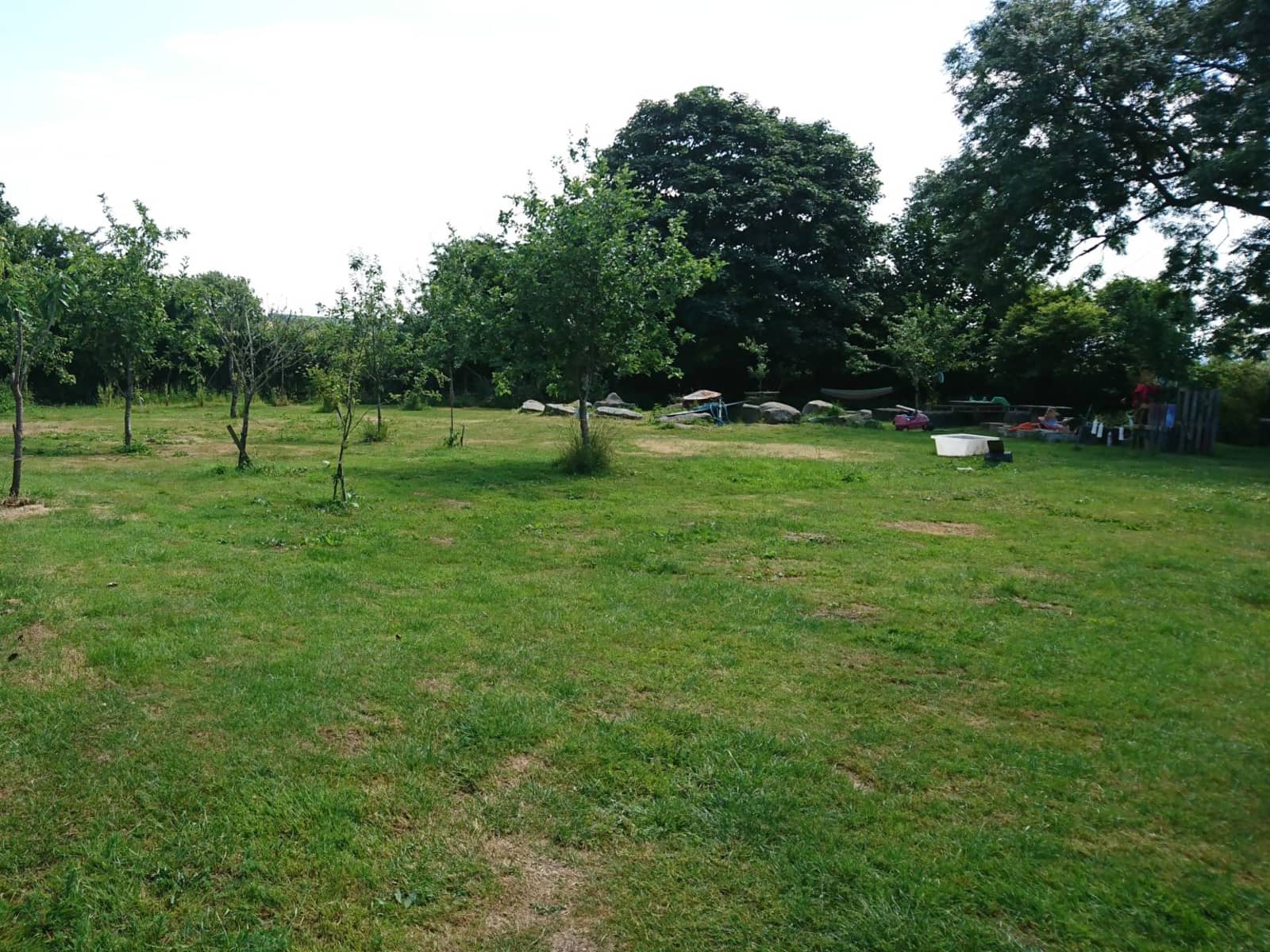 Housesitting assignment in Launceston, United Kingdom