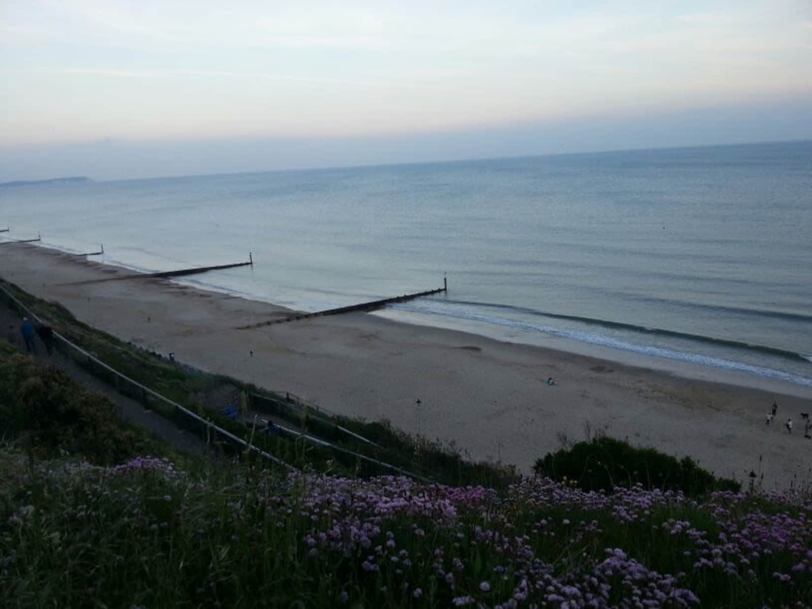 Housesitting assignment in Bournemouth, United Kingdom