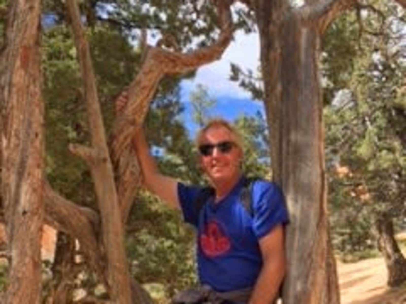 David from Mill Valley, California, United States