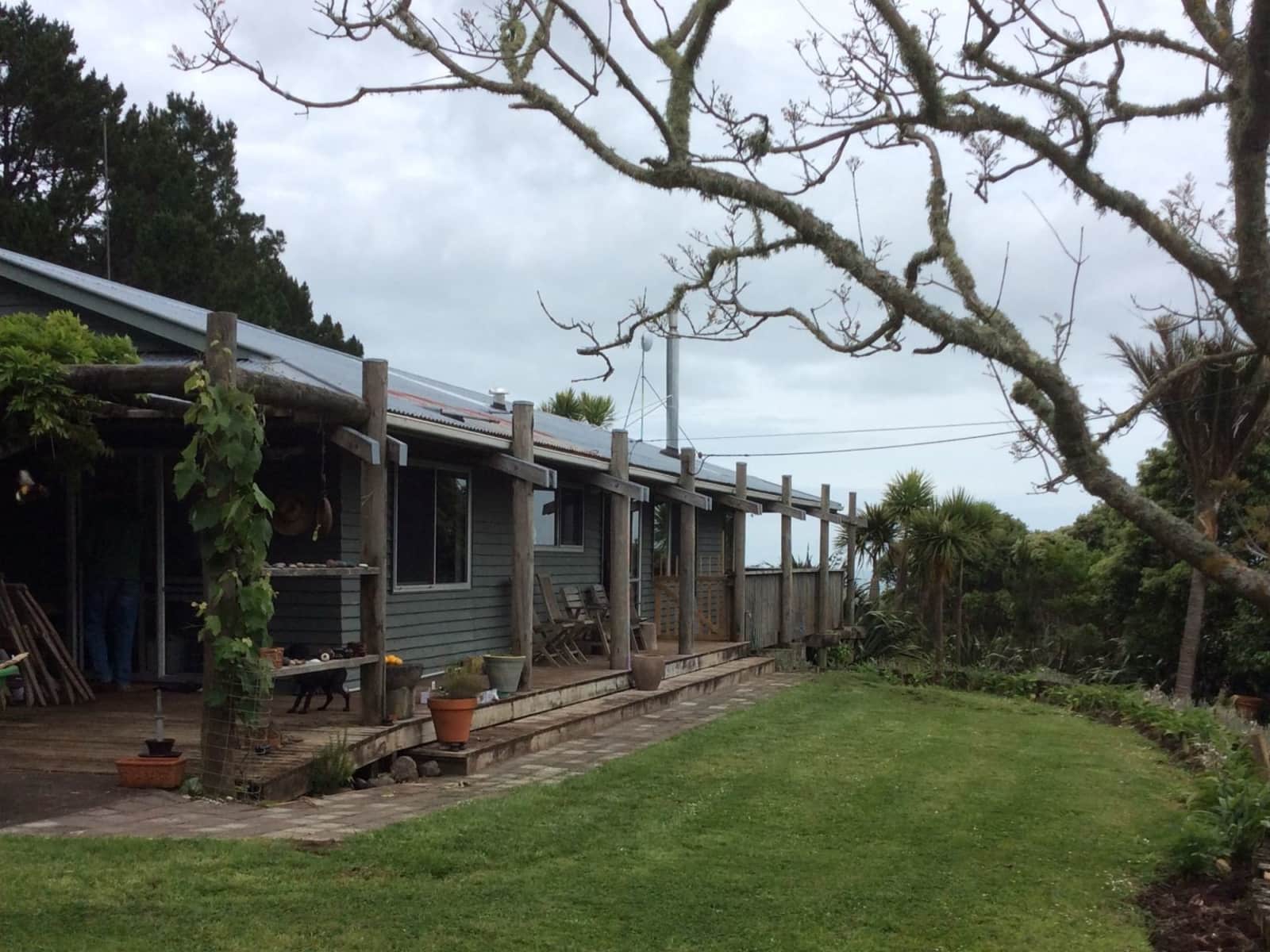 Housesitting assignment in Port Waikato, New Zealand