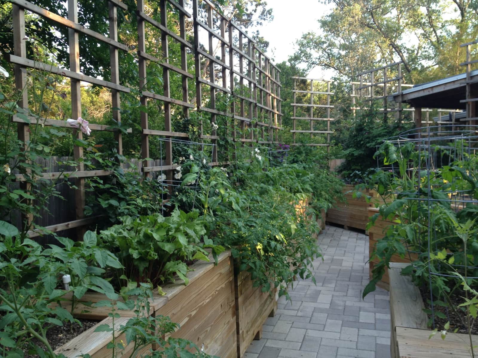 Housesitting assignment in Austin, Texas, United States
