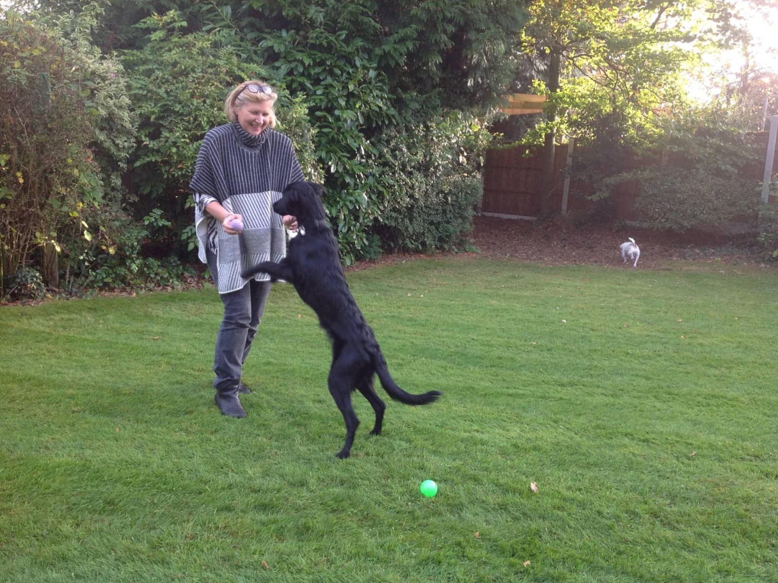 Joy & Steven from Solihull, United Kingdom