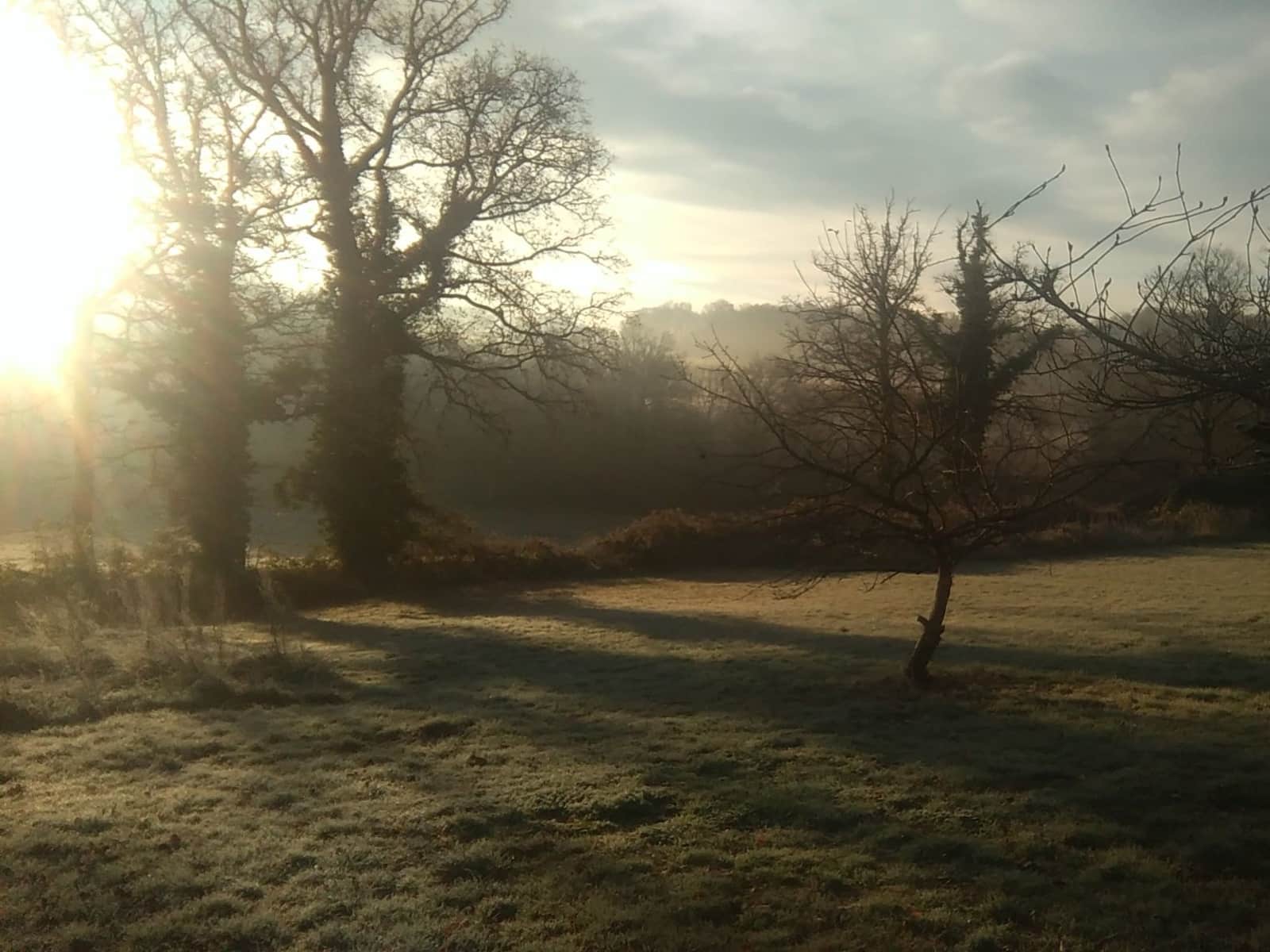 Housesitting assignment in Limoges, France