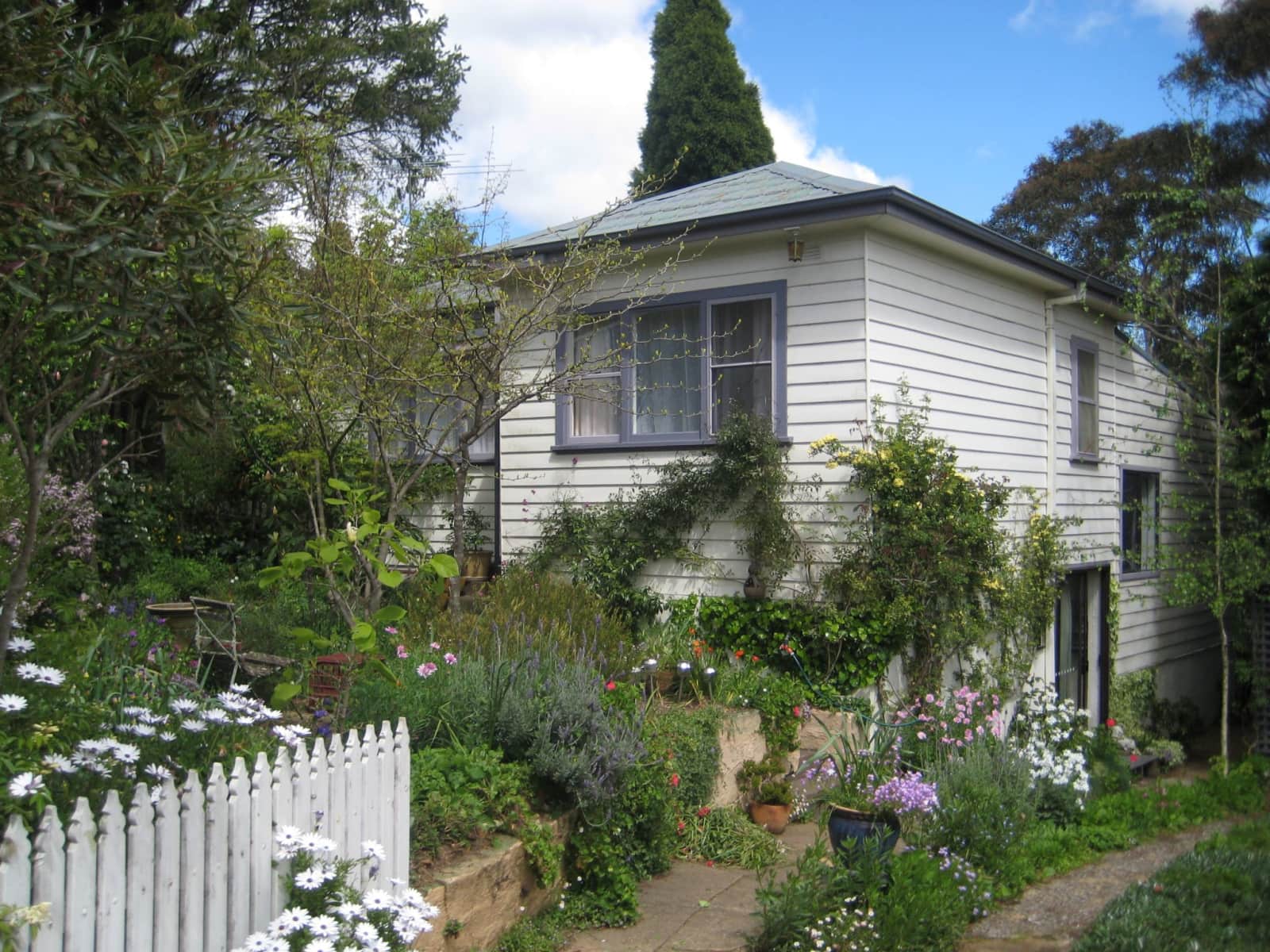 Housesitting assignment in Wentworth Falls, New South Wales, Australia