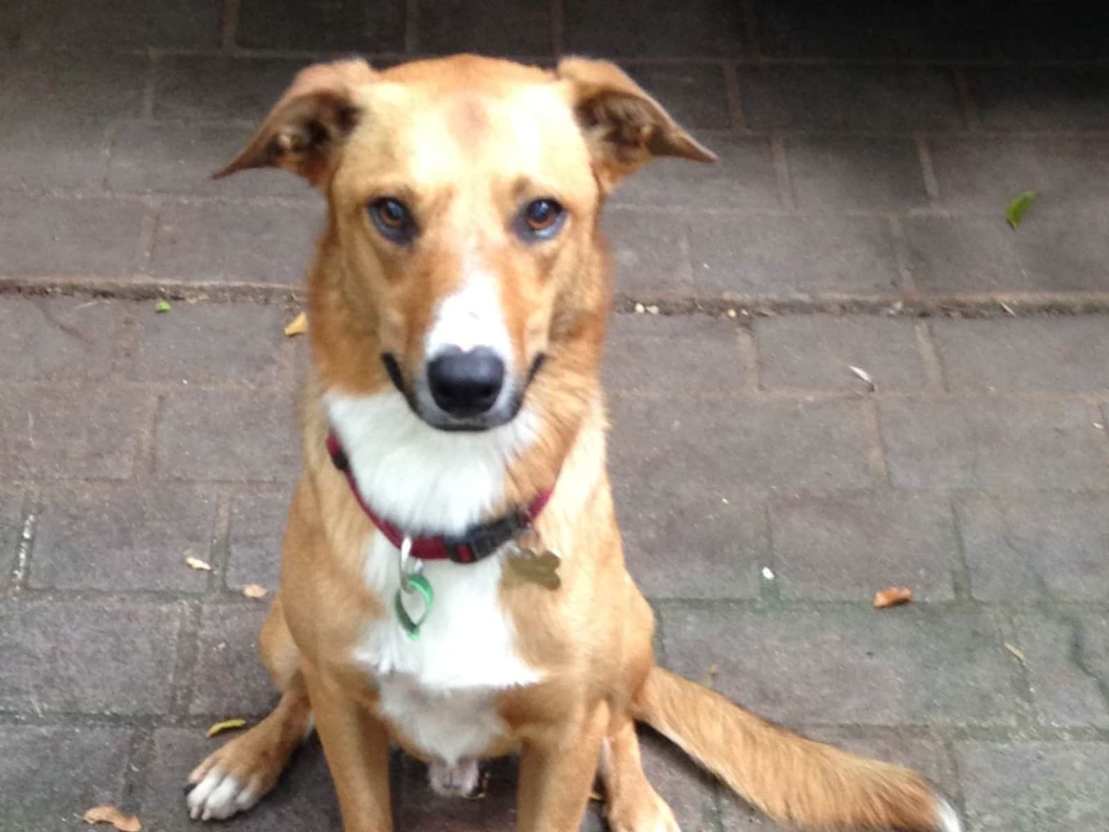 Joanne from Cairns, Queensland, Australia