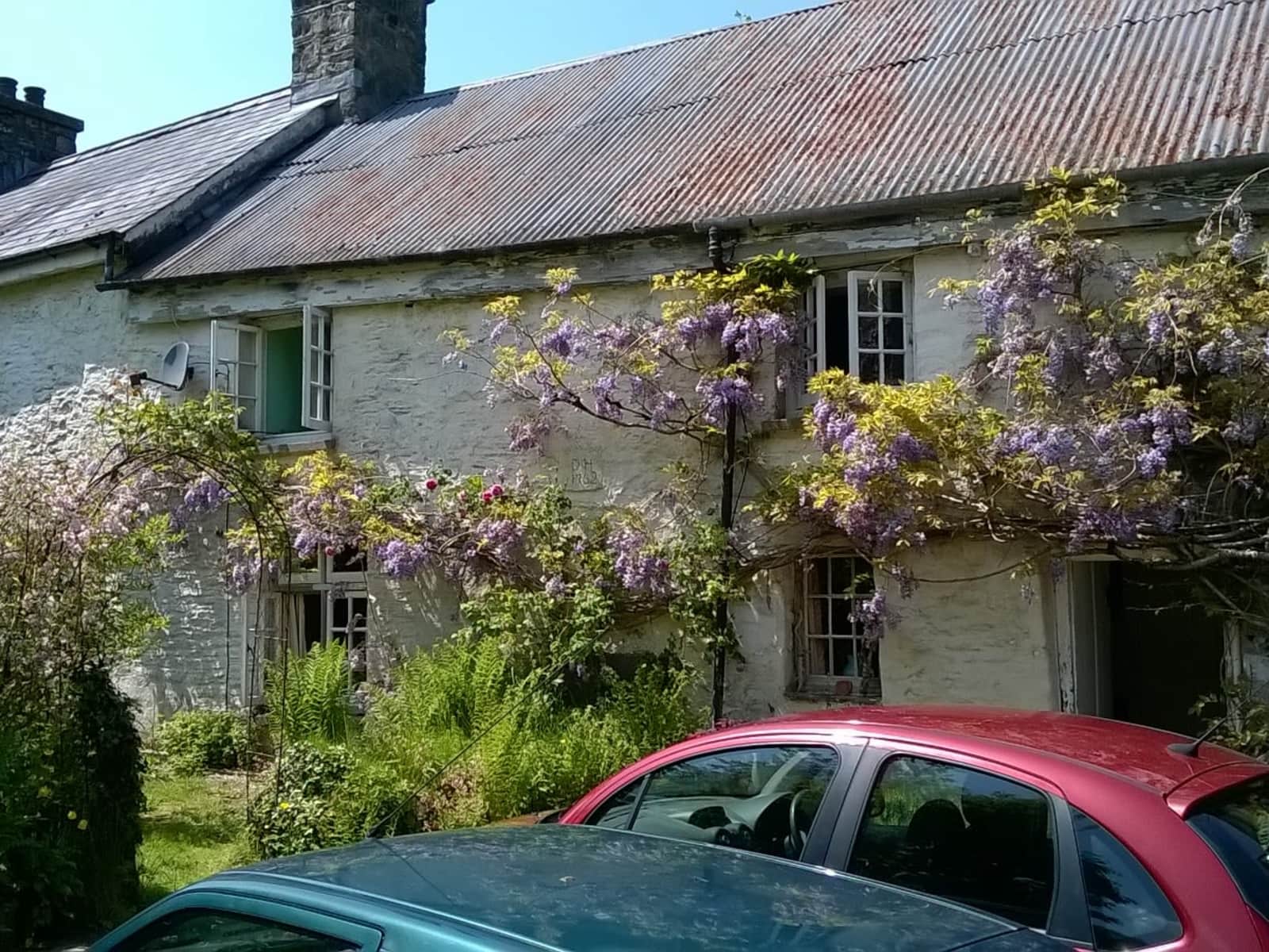 Housesitting assignment in Carmarthen, United Kingdom
