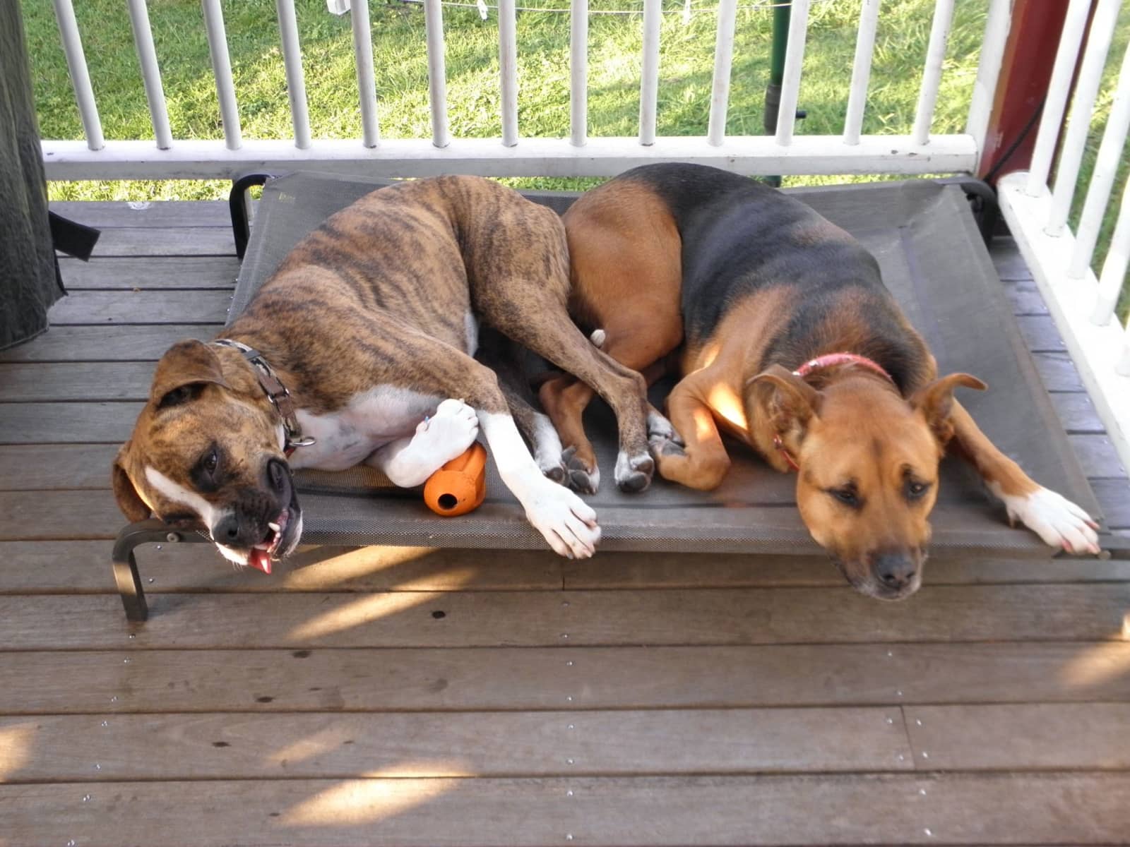 Roger & Leonie from North Ipswich, Queensland, Australia