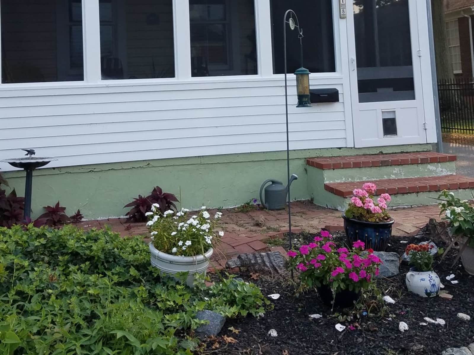 Housesitting assignment in Wilmington, Delaware, United States