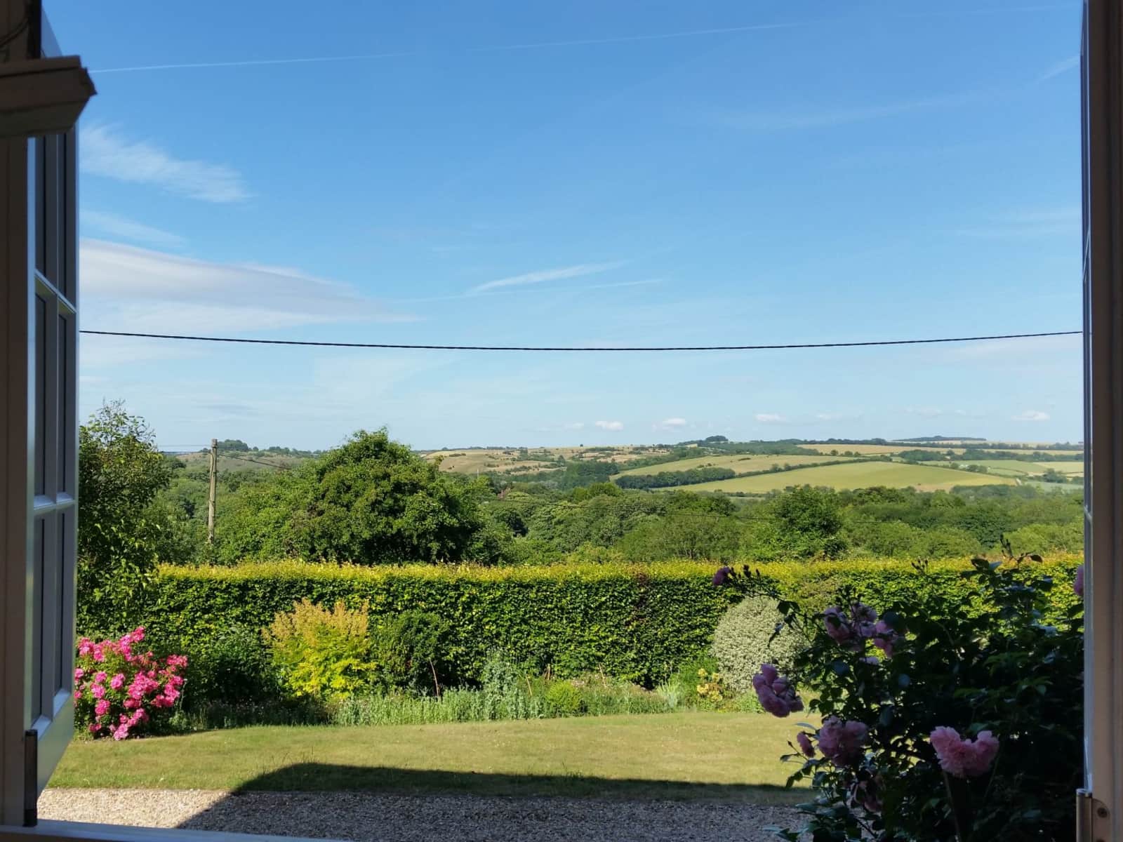 Housesitting assignment in Winchester, United Kingdom
