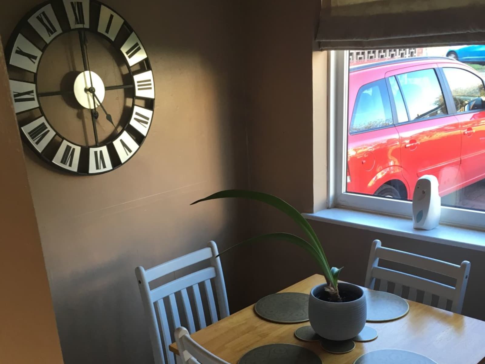 Housesitting assignment in Cannock, United Kingdom