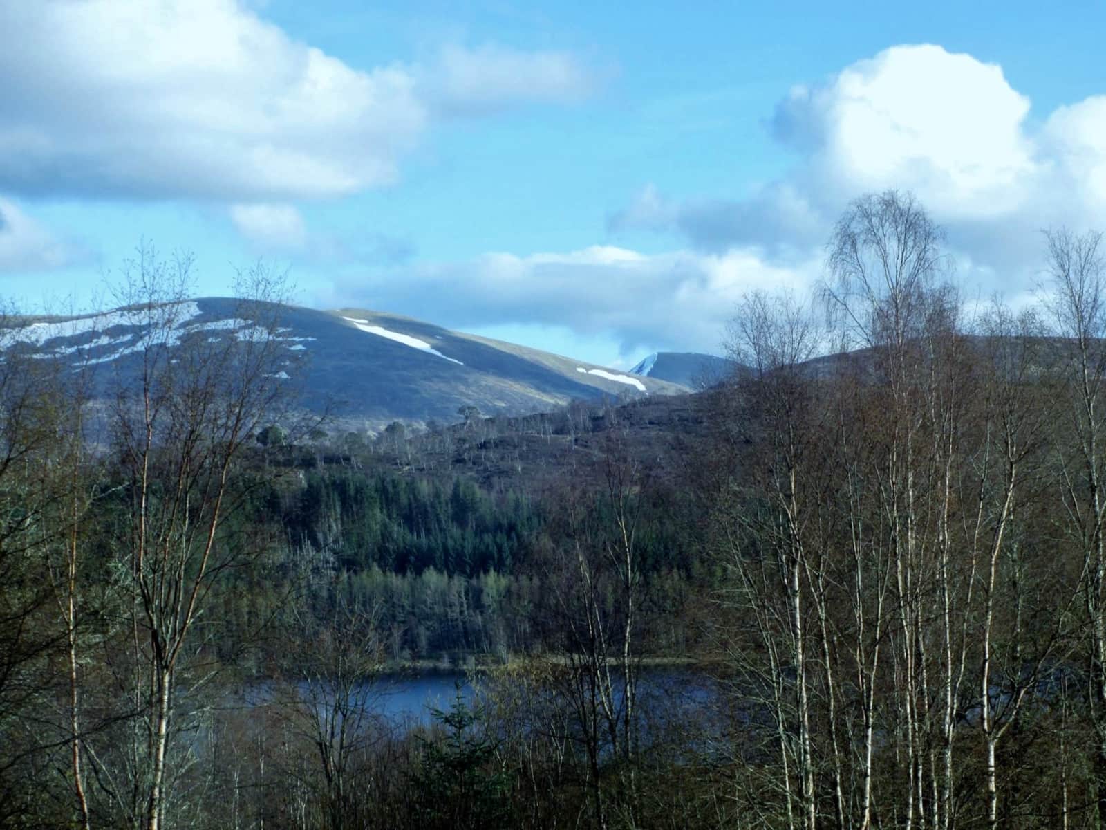 Housesitting assignment in Invergarry, United Kingdom