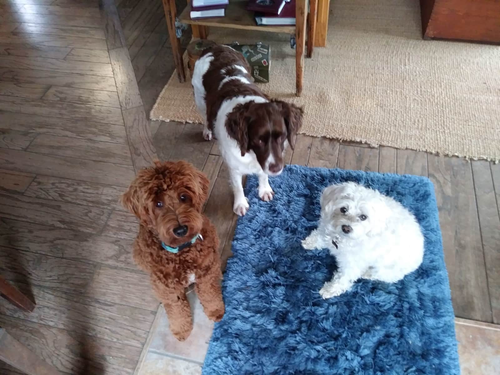 Jackie & Dean "charlie" from Minneapolis, Minnesota, United States