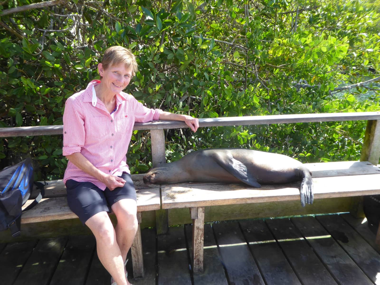 Jill from Bridport, Tasmania, Australia