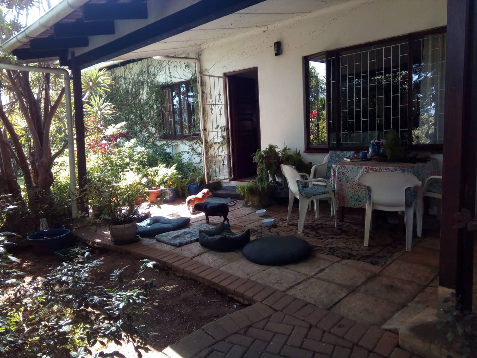 Housesitting assignment in Durban, South Africa