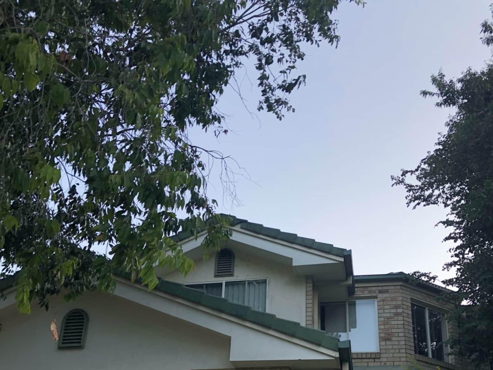 Housesitting assignment in Shailer Park, Queensland, Australia