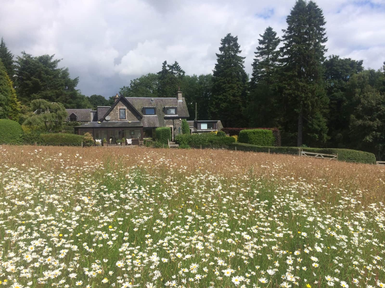 Housesitting assignment in Peebles, United Kingdom
