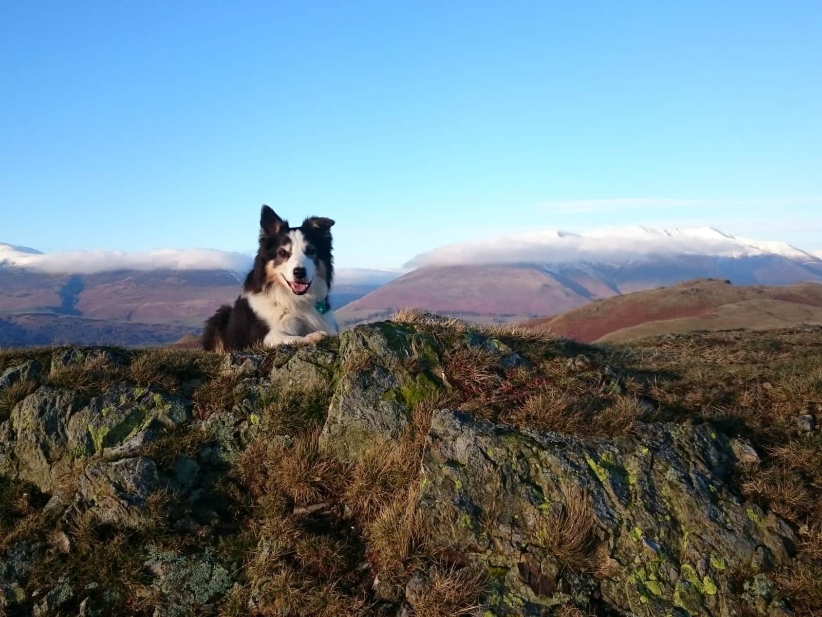 Housesitting assignment in Keswick, United Kingdom