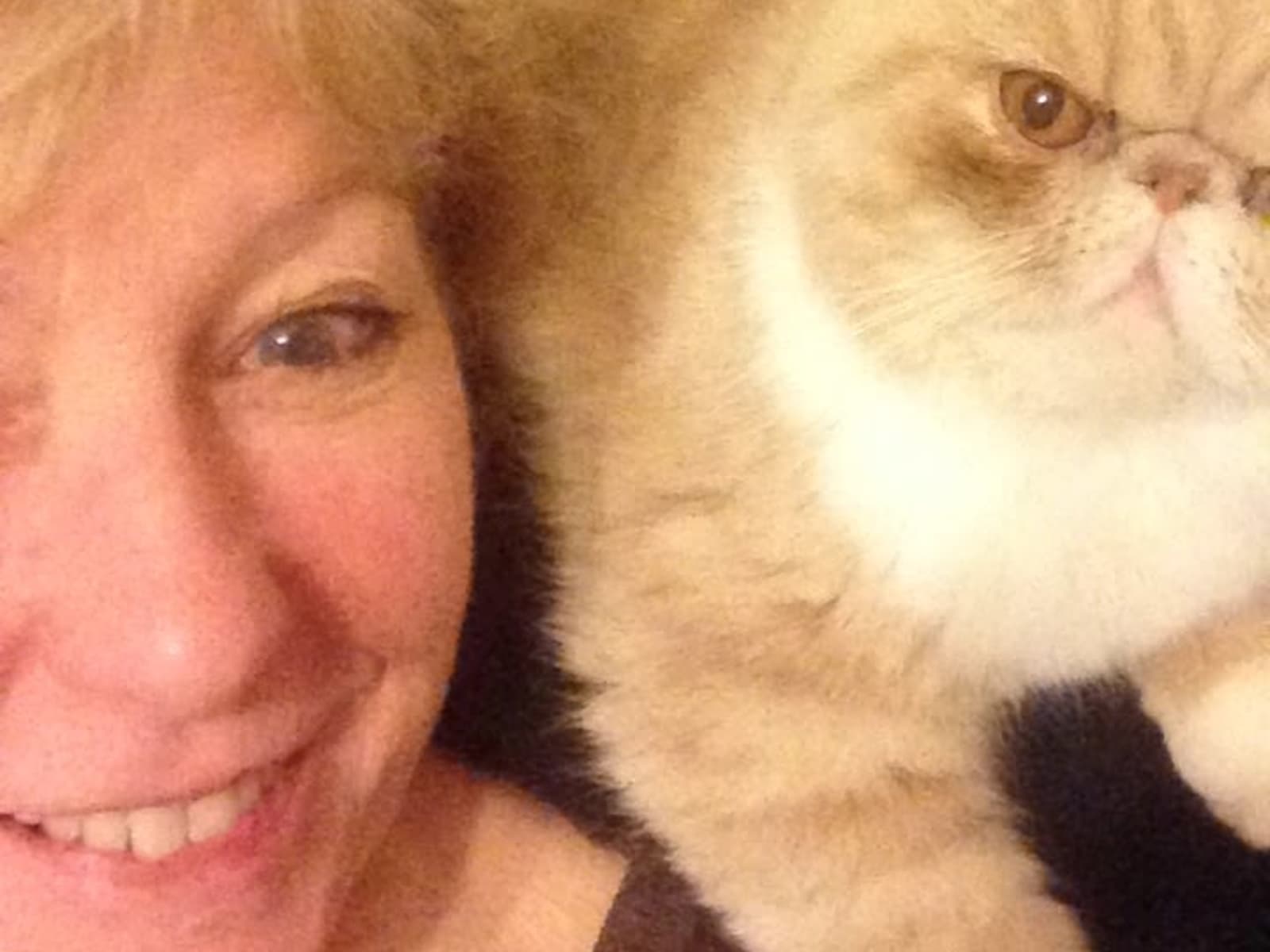 Julia from Chelwood, United Kingdom