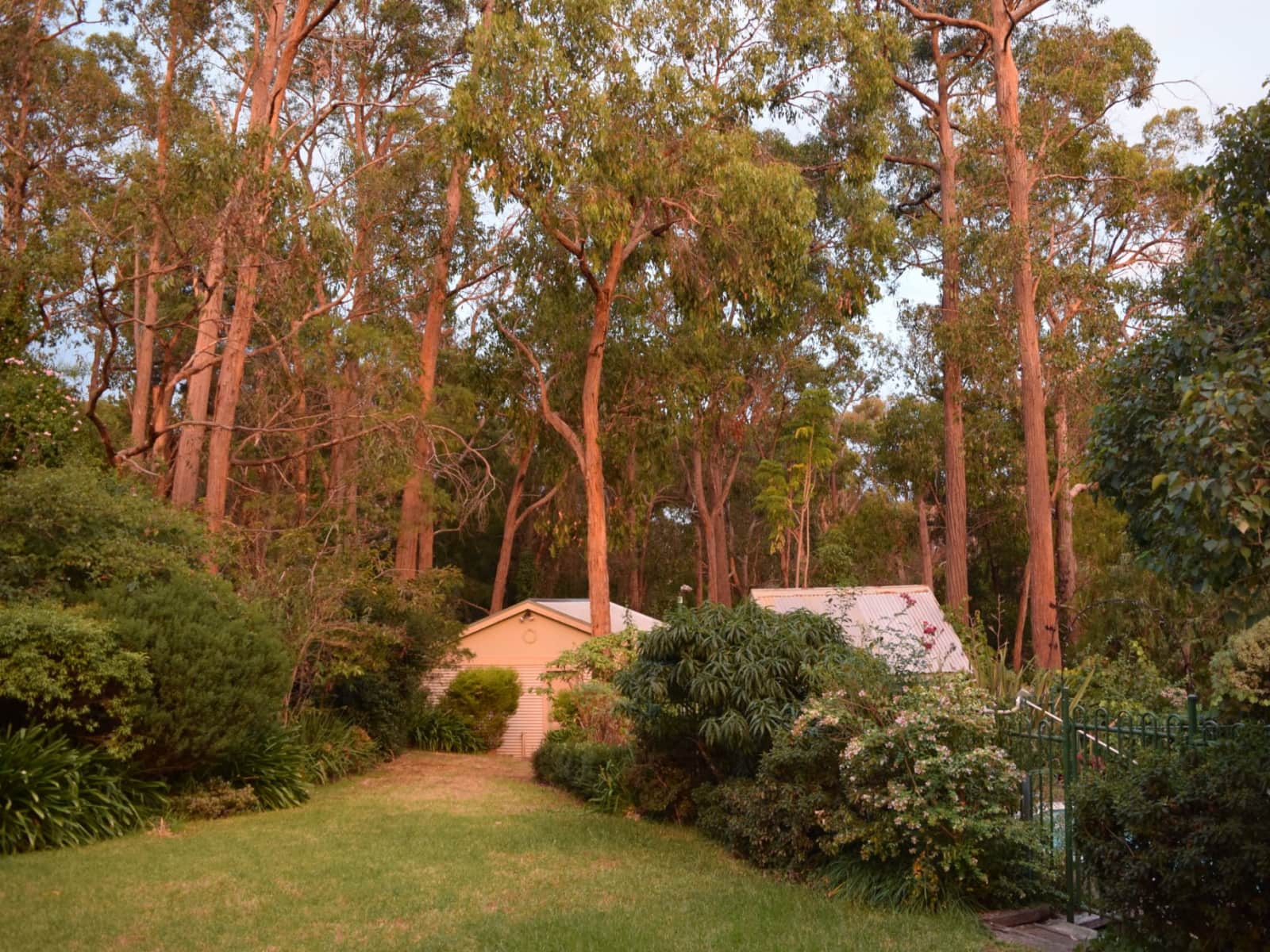 Housesitting assignment in Melbourne, Victoria, Australia