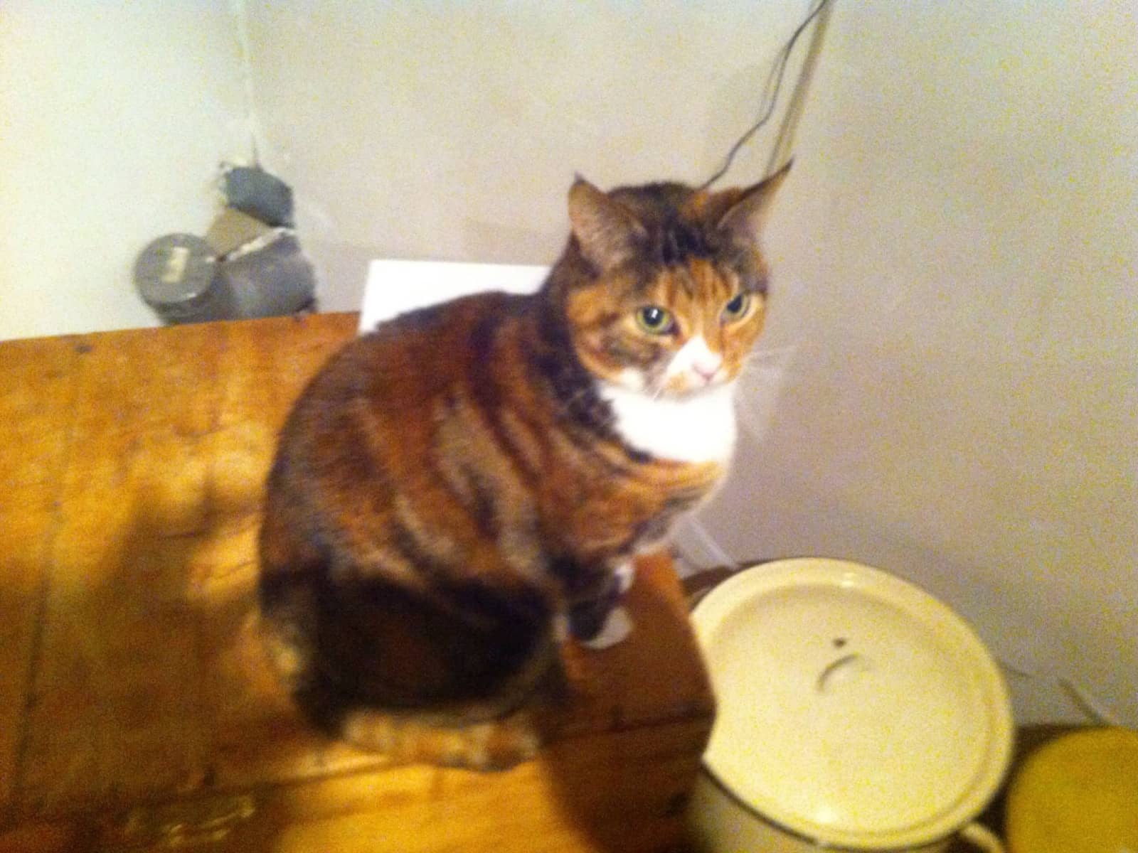 Sally from Winchester, United Kingdom