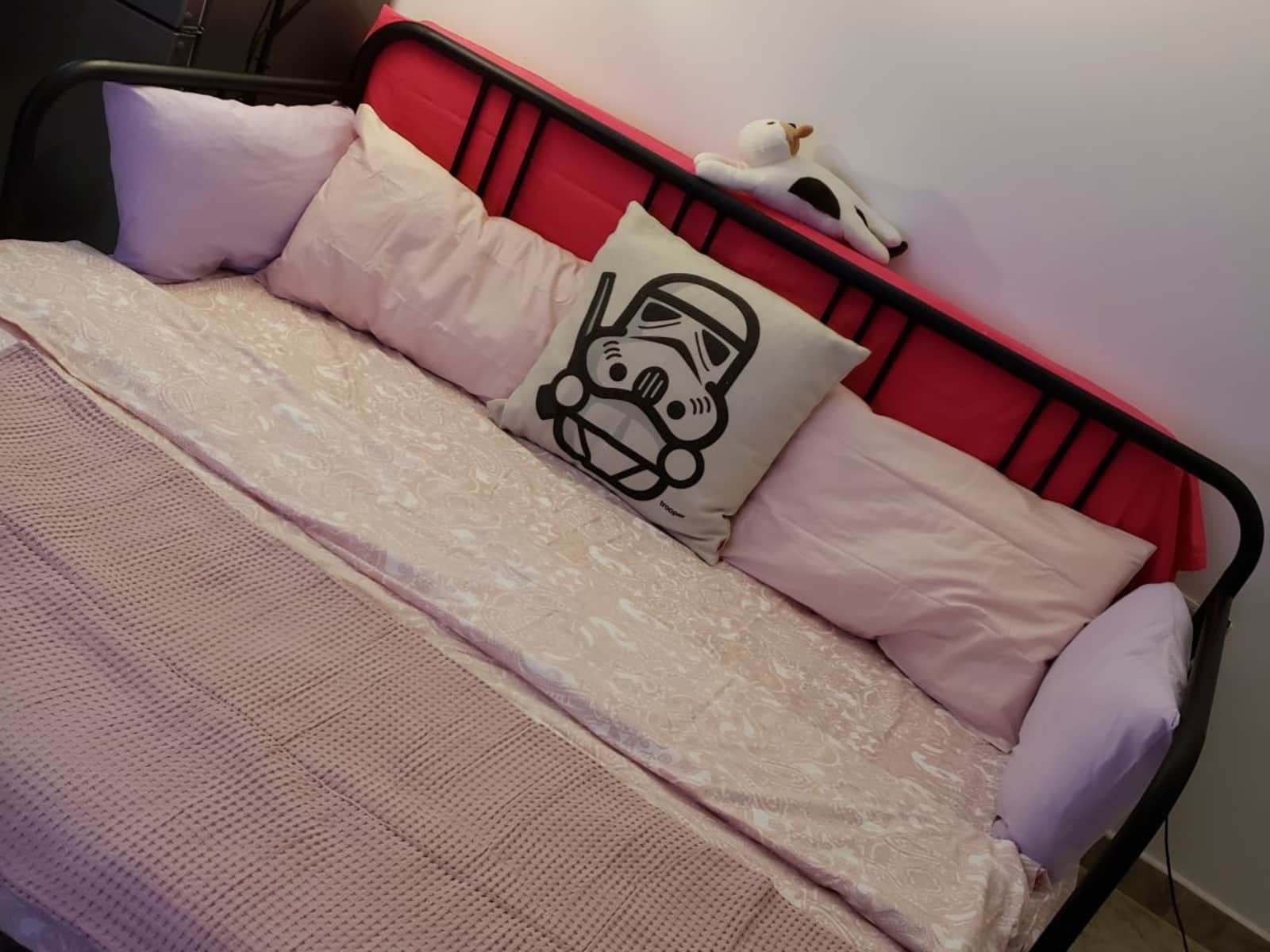 Housesitting assignment in Abu Dhabi, United Arab Emirates
