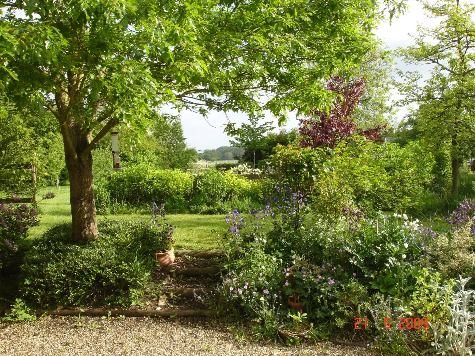 Housesitting assignment in Bedford, United Kingdom