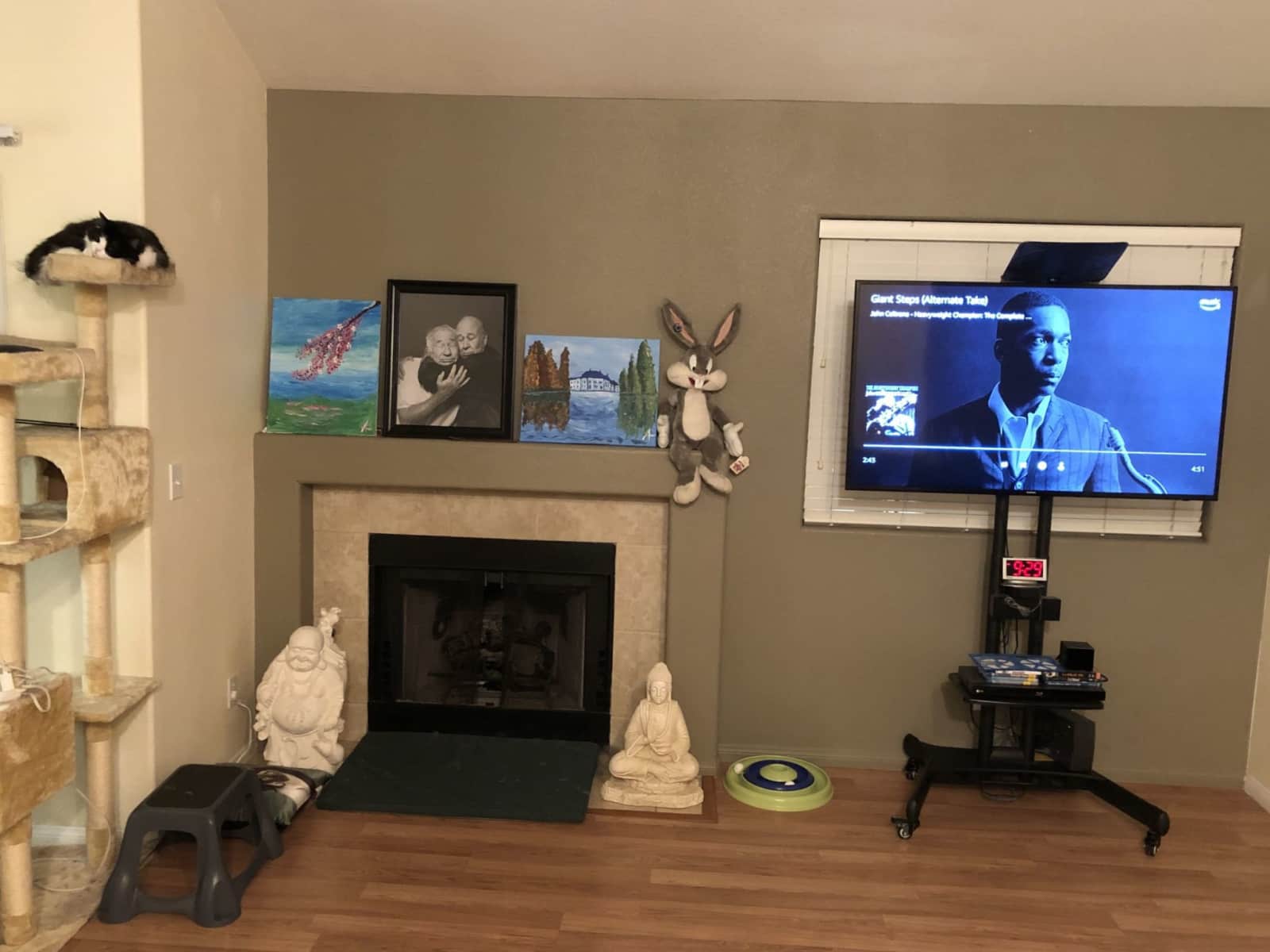 Housesitting assignment in Henderson, Nevada, United States