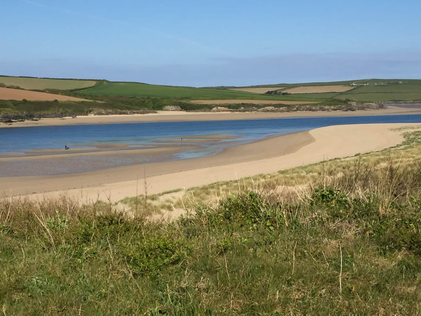 Housesitting assignment in Wadebridge, United Kingdom
