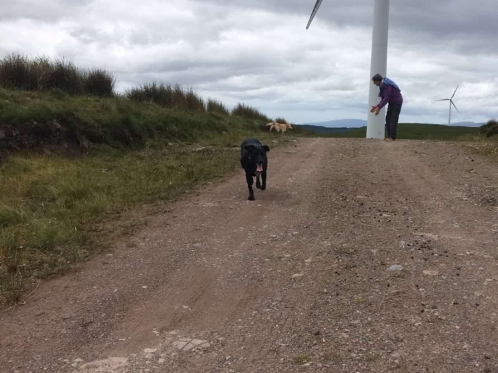 Gerard from Castlebar, Ireland