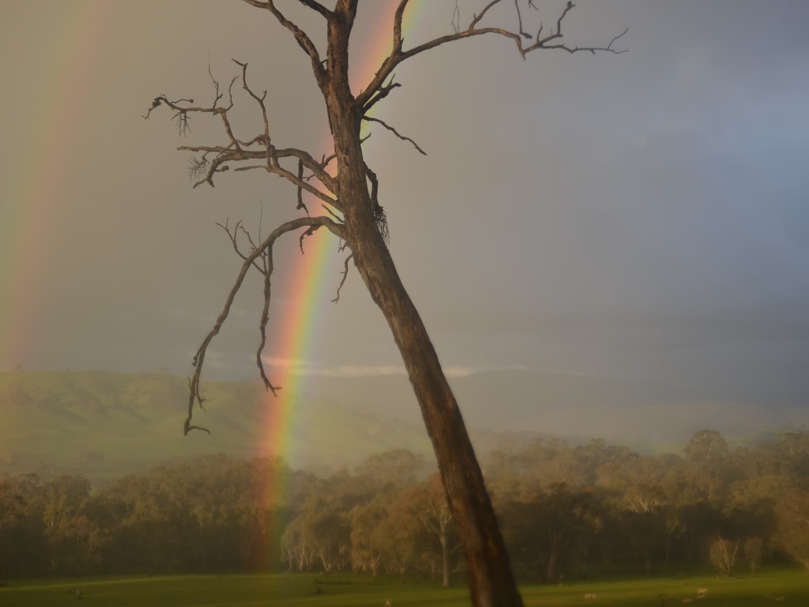 Robert ( bob) from Tumbarumba, New South Wales, Australia