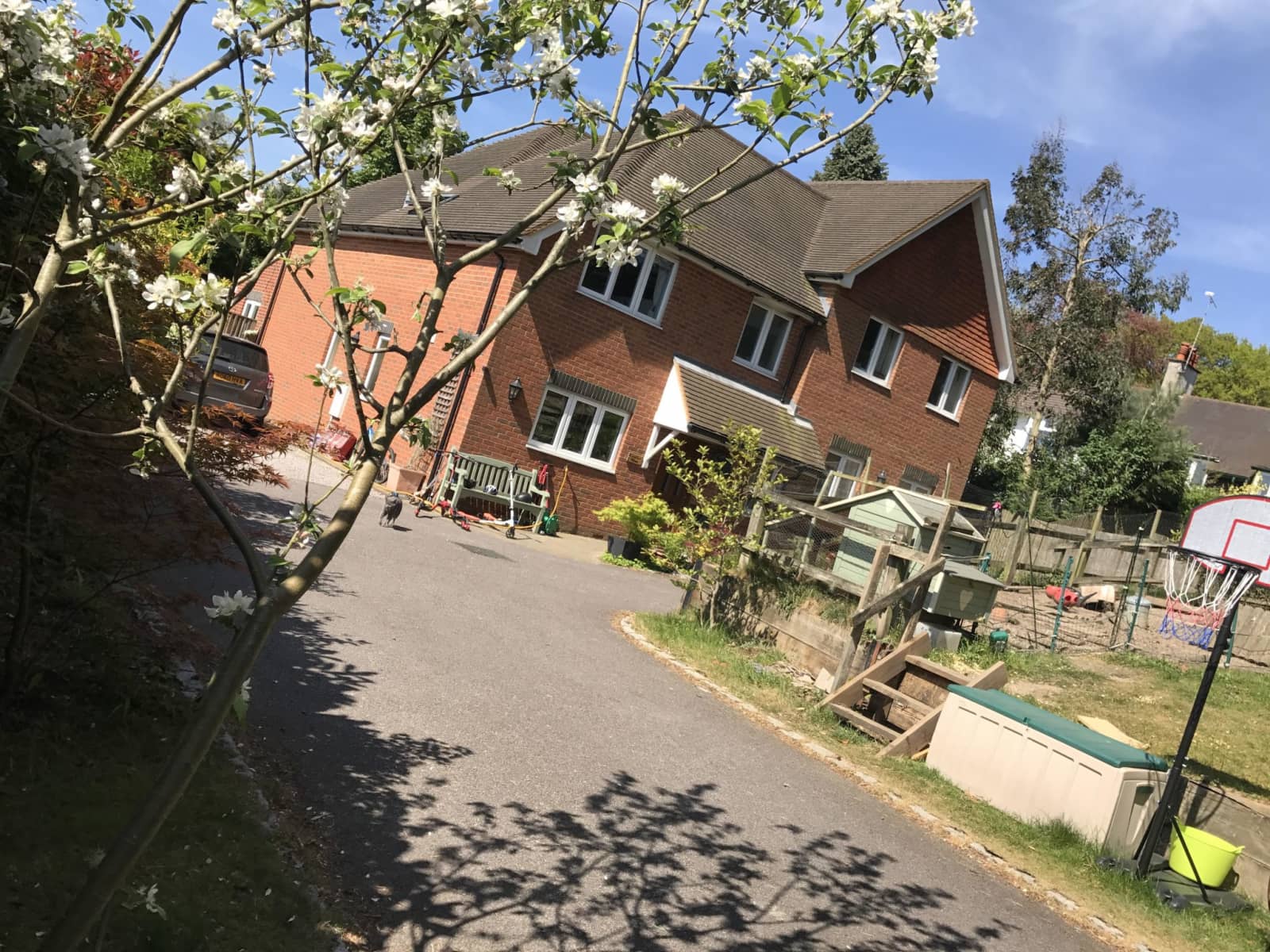 Housesitting assignment in Haslemere, United Kingdom