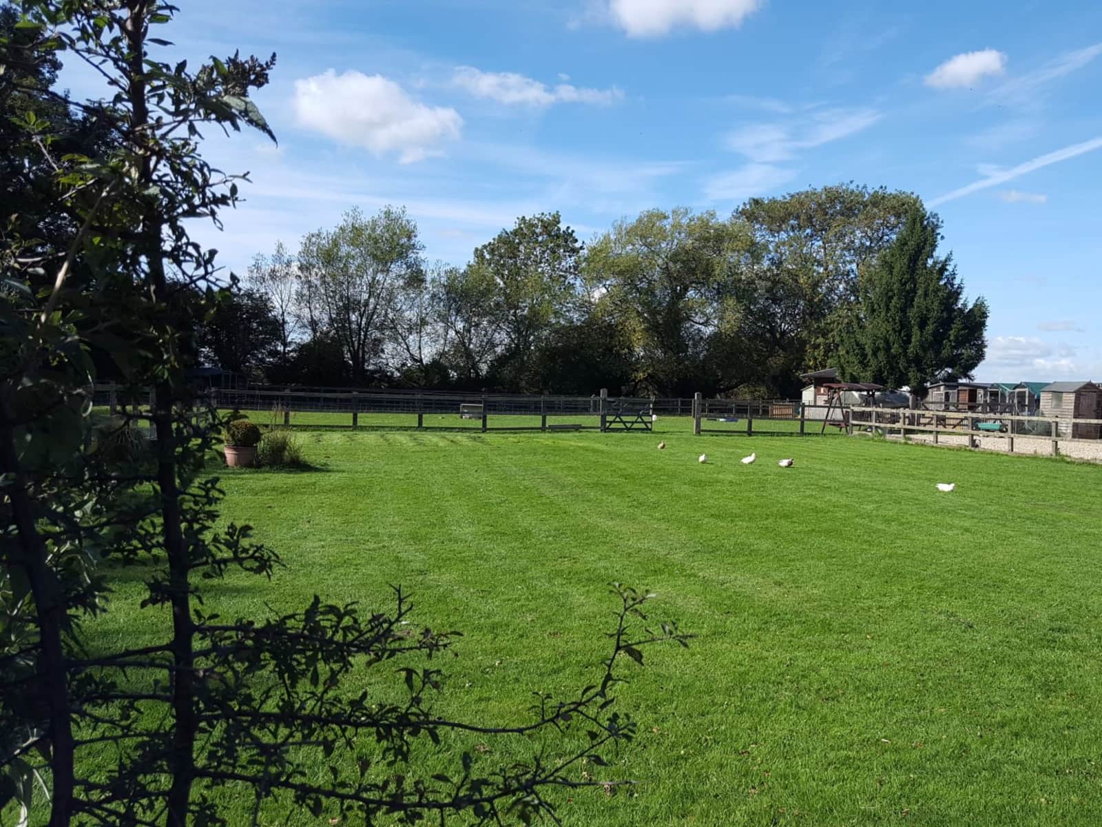 Housesitting assignment in Spilsby, United Kingdom