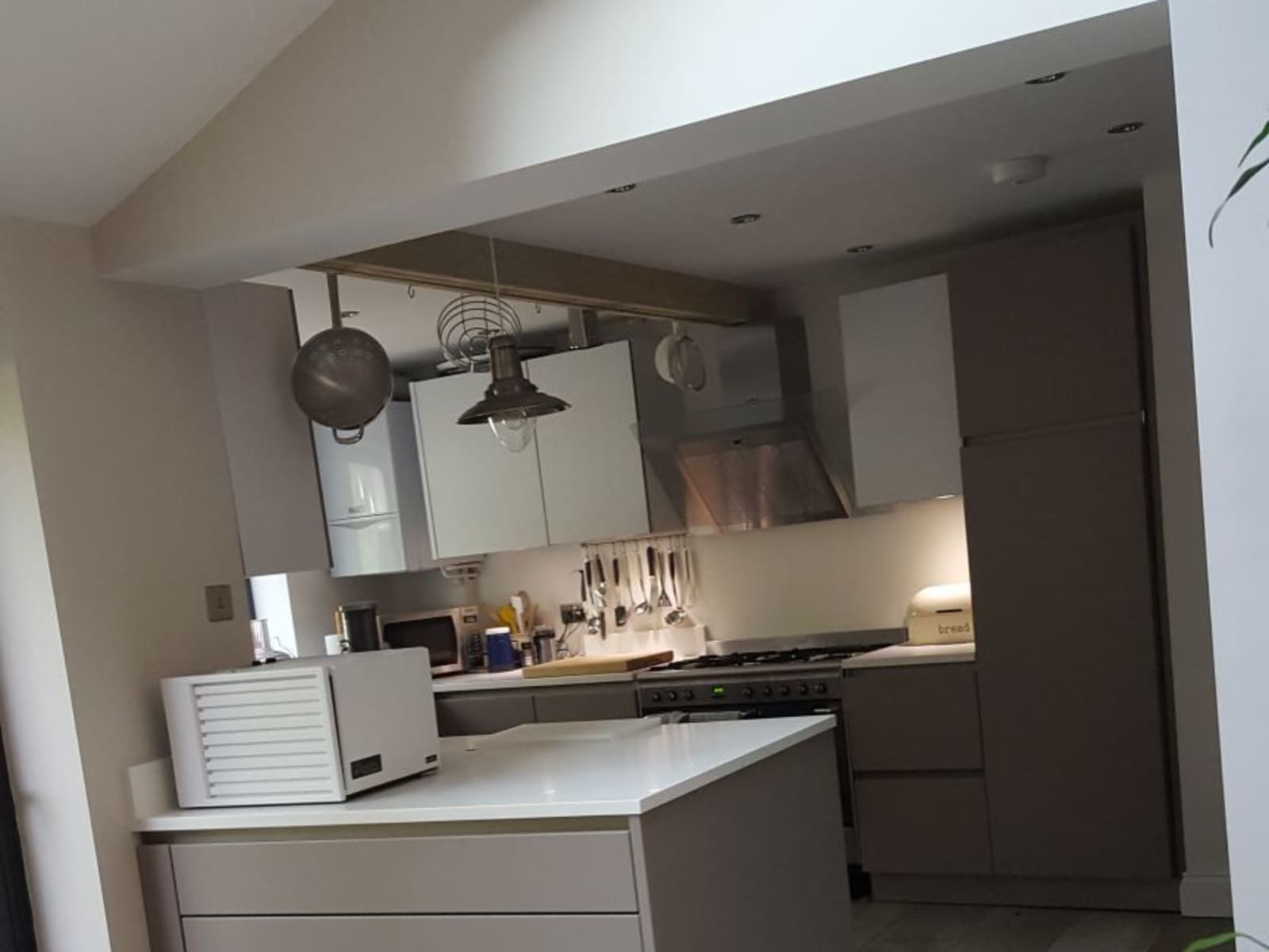 Housesitting assignment in London, United Kingdom
