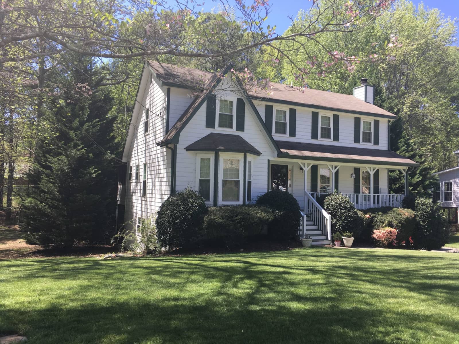 Housesitting assignment in Atlanta, Georgia, United States