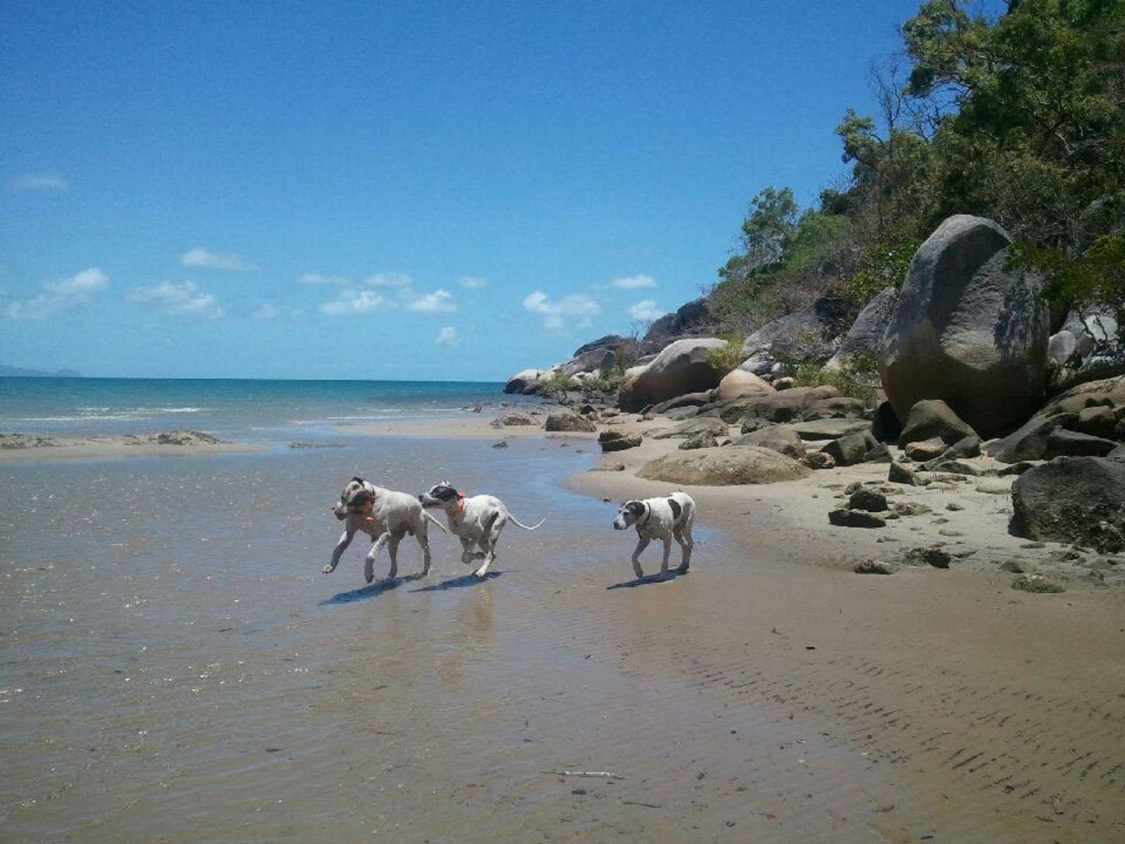 Louise from Cairns, Queensland, Australia