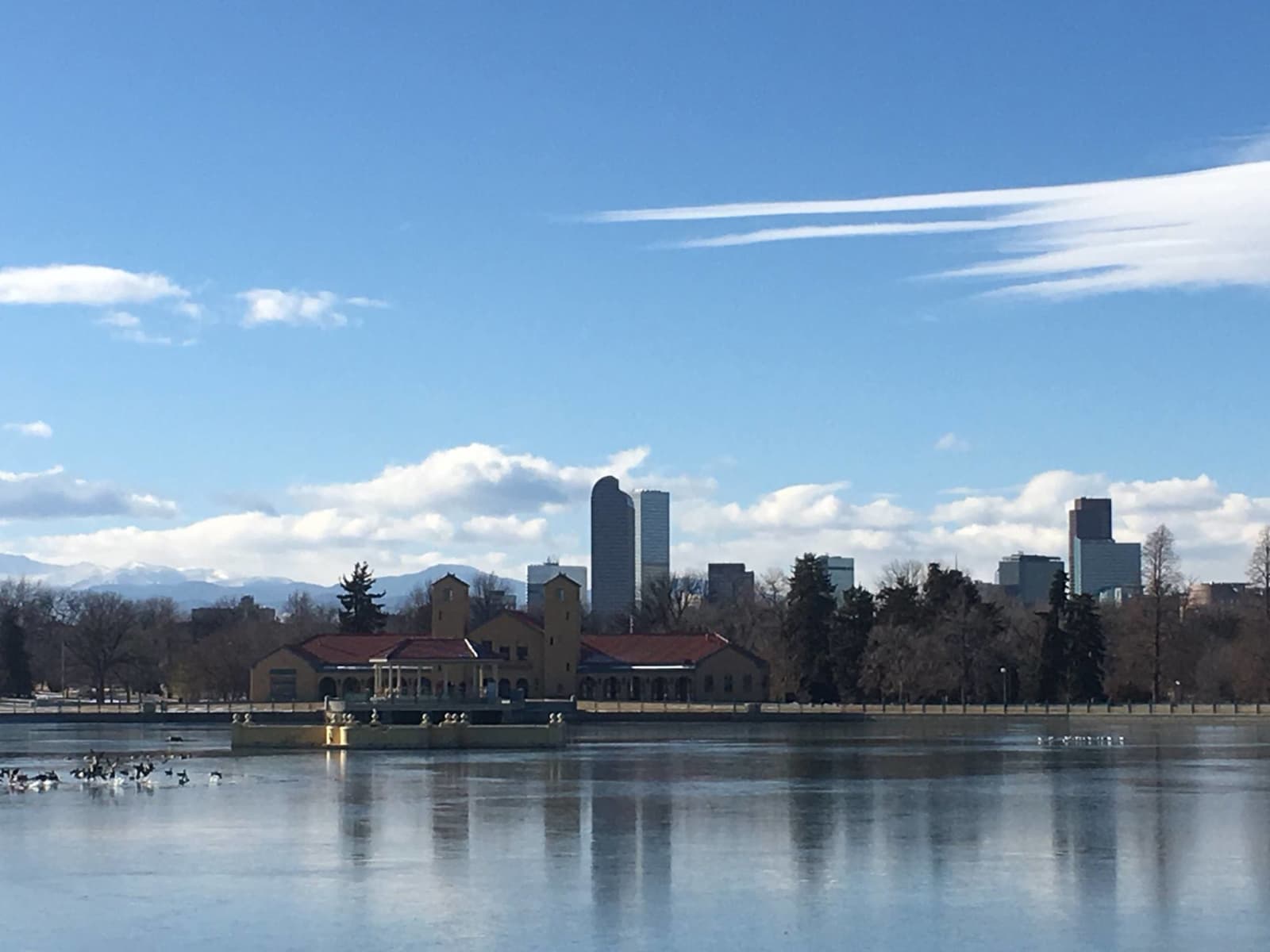 Housesitting assignment in Denver, Colorado, United States