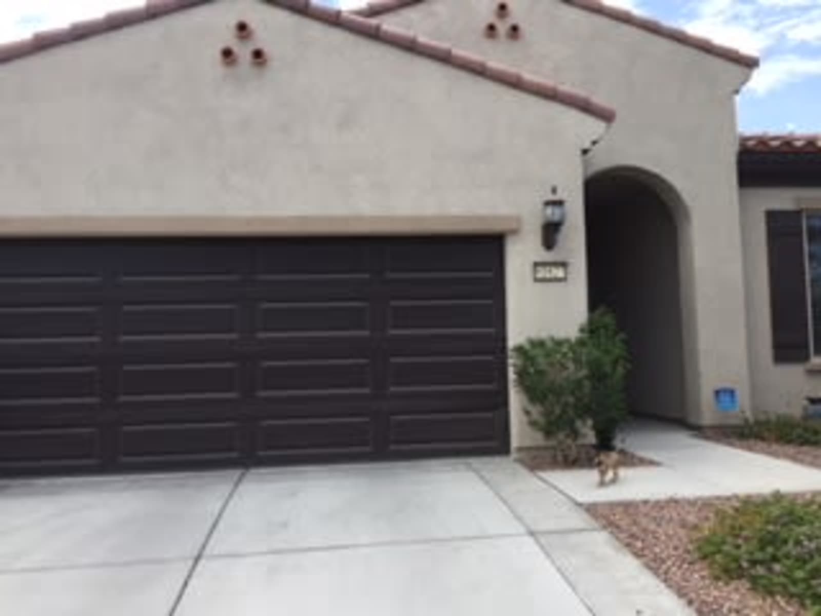 Housesitting assignment in Indio, California, United States