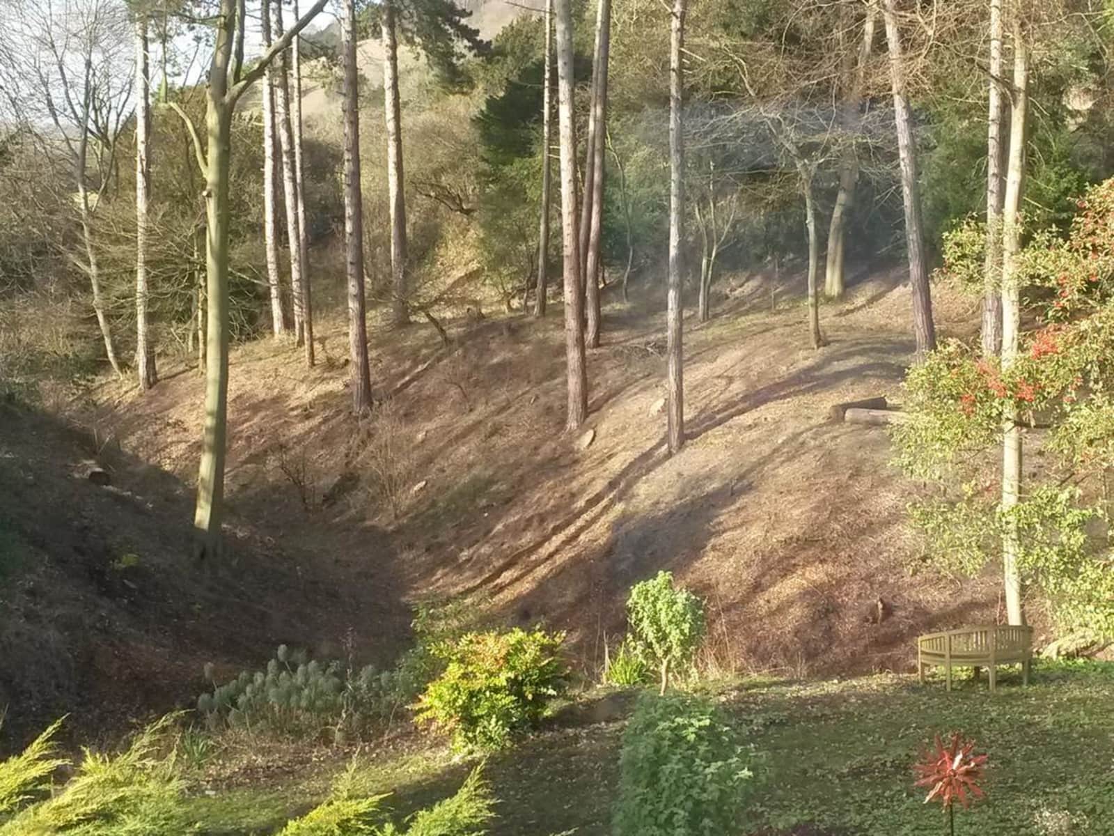 Housesitting assignment in Reigate, United Kingdom