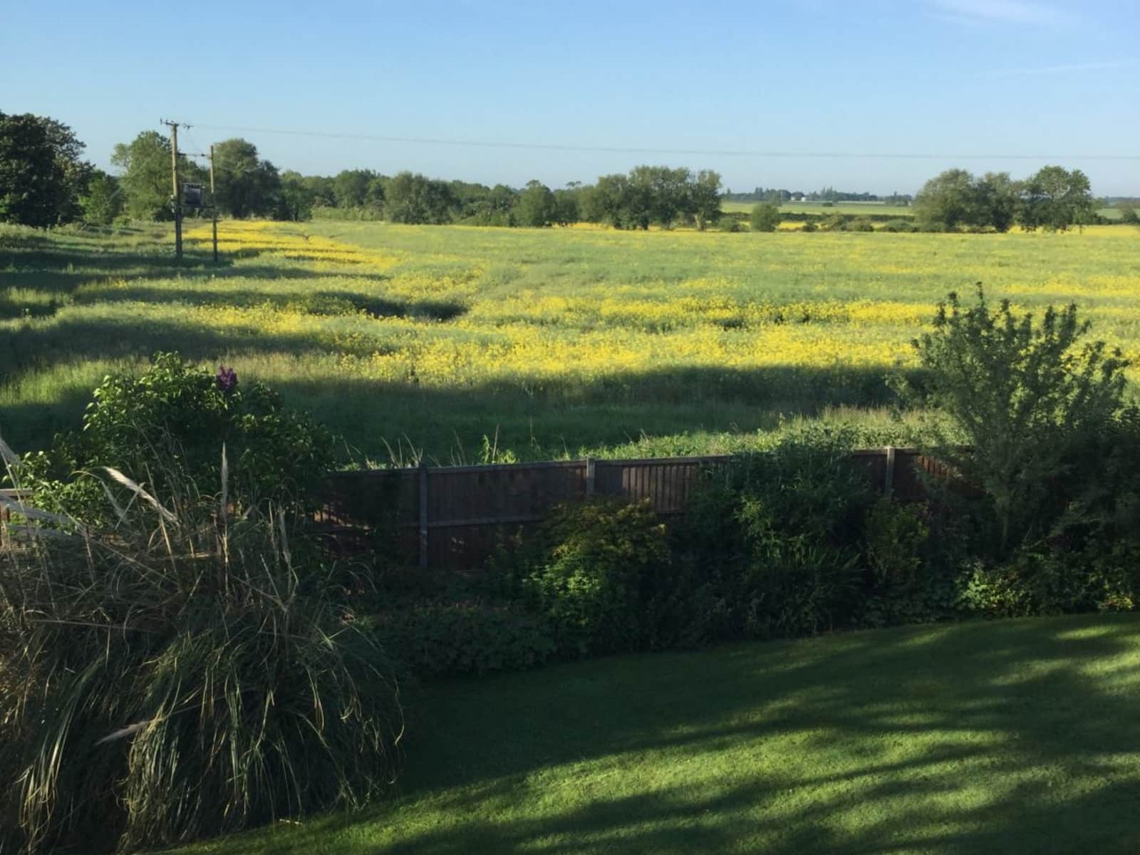 Housesitting assignment in Lincoln, United Kingdom