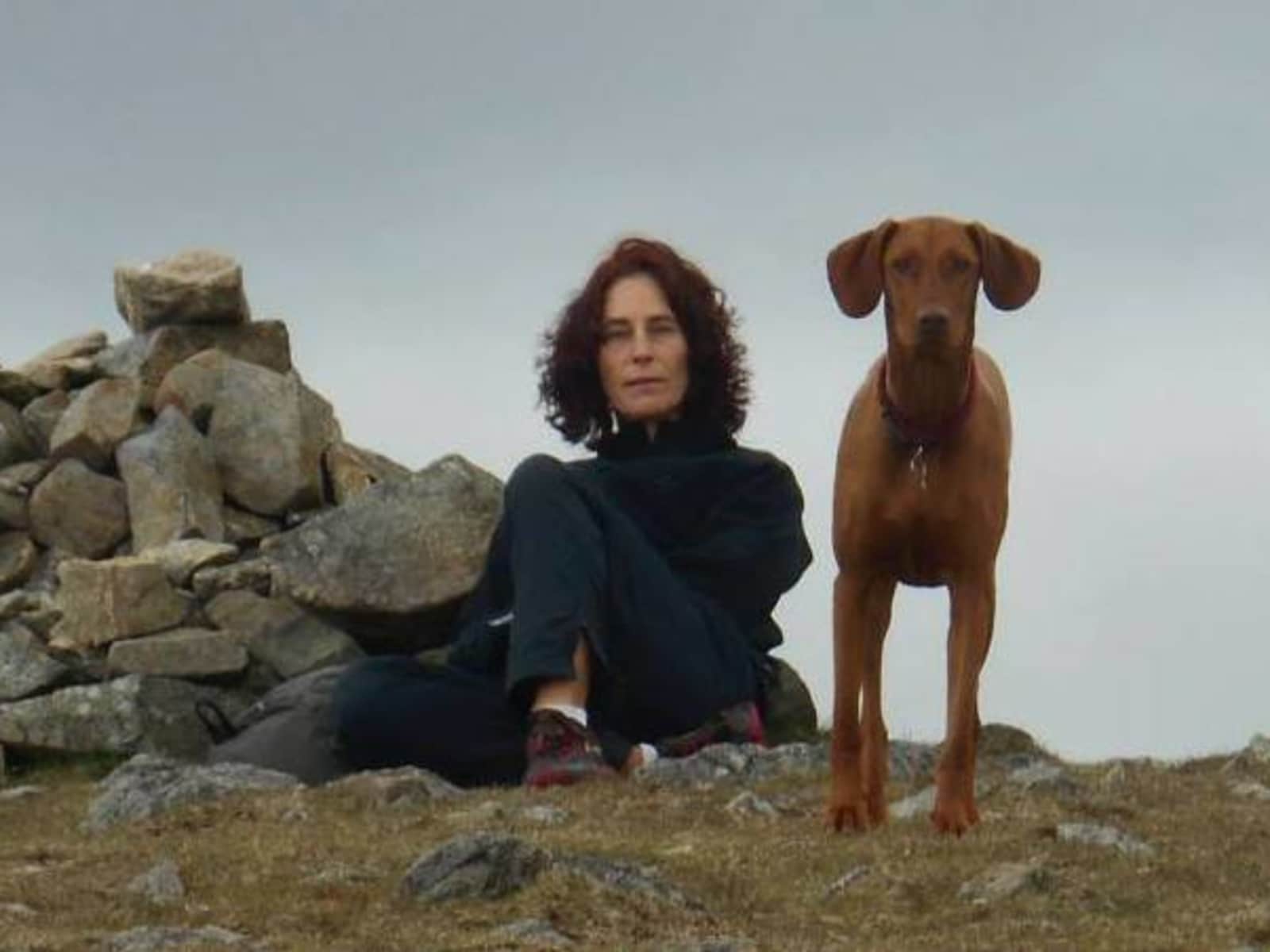 Debbie from Taunton, United Kingdom