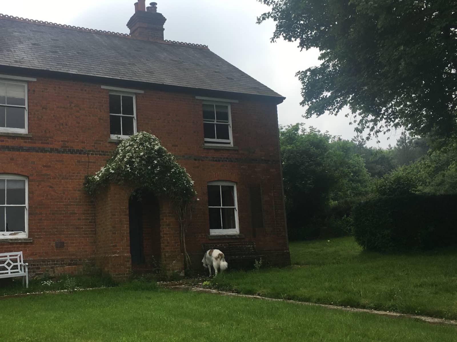 Housesitting assignment in Highclere, United Kingdom