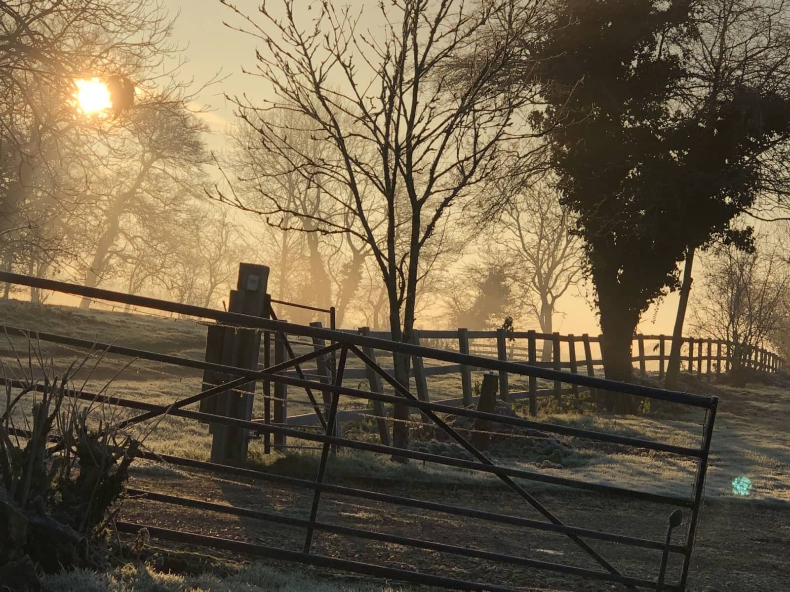 Housesitting assignment in Woodhall Spa, United Kingdom