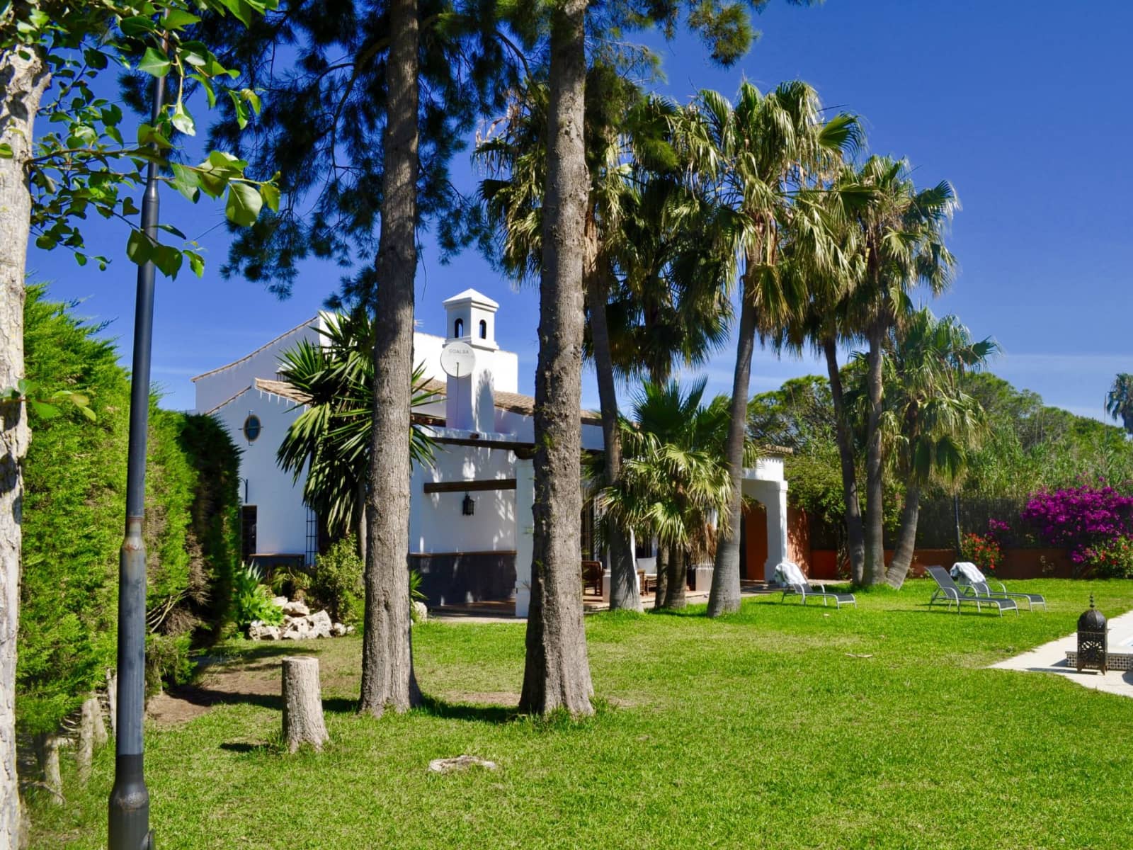 Housesitting assignment in Chiclana de la Frontera, Spain