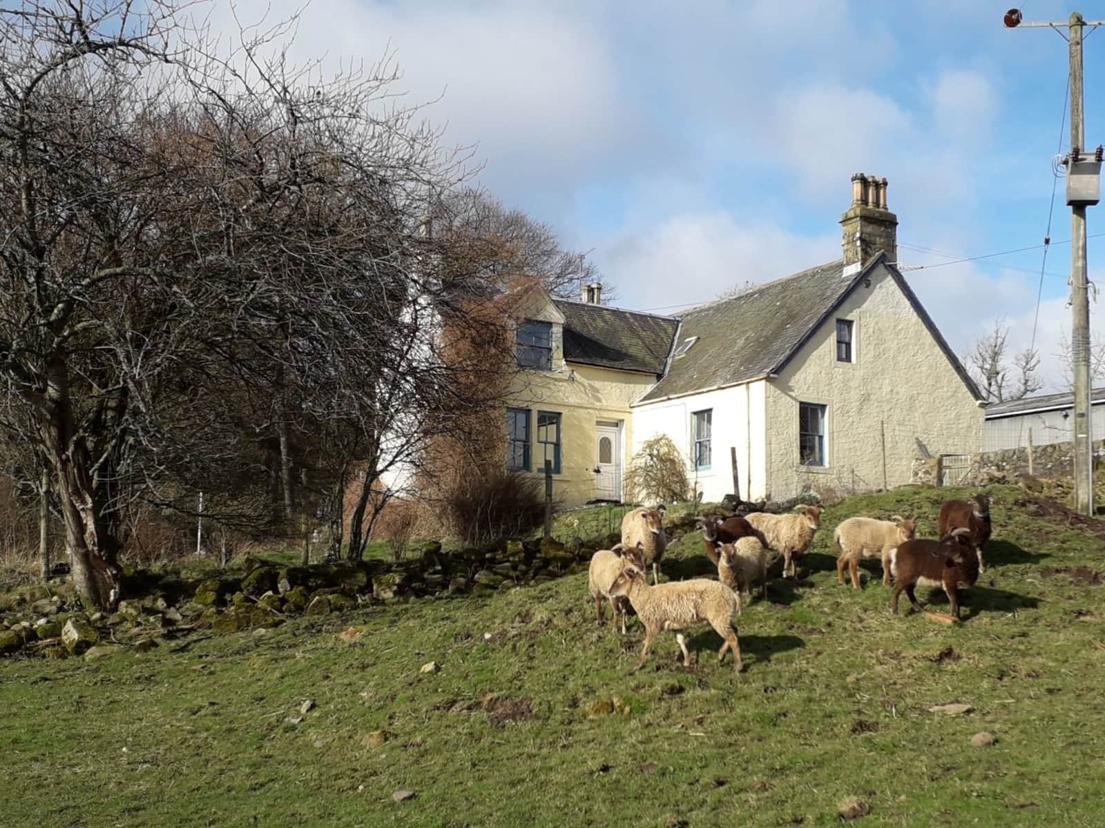 Housesitting assignment in Kinross, United Kingdom