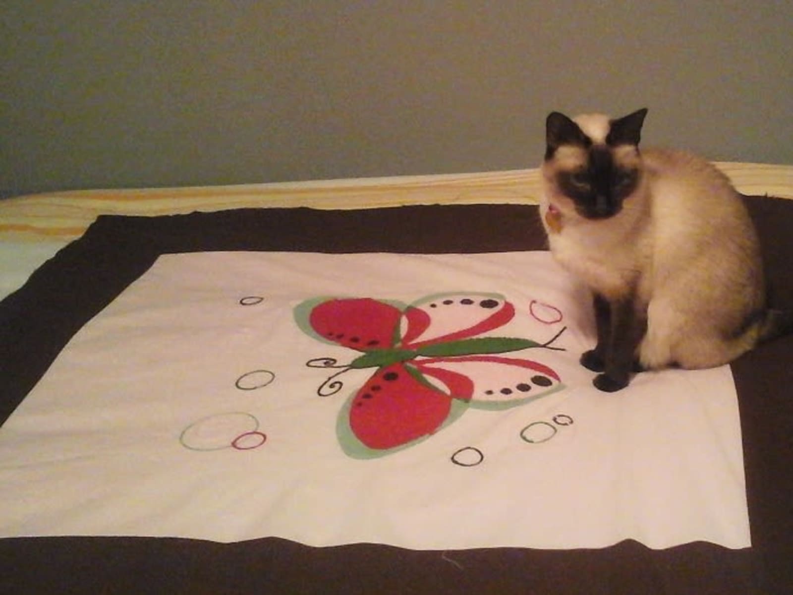 Brenda from Peterborough, Ontario, Canada