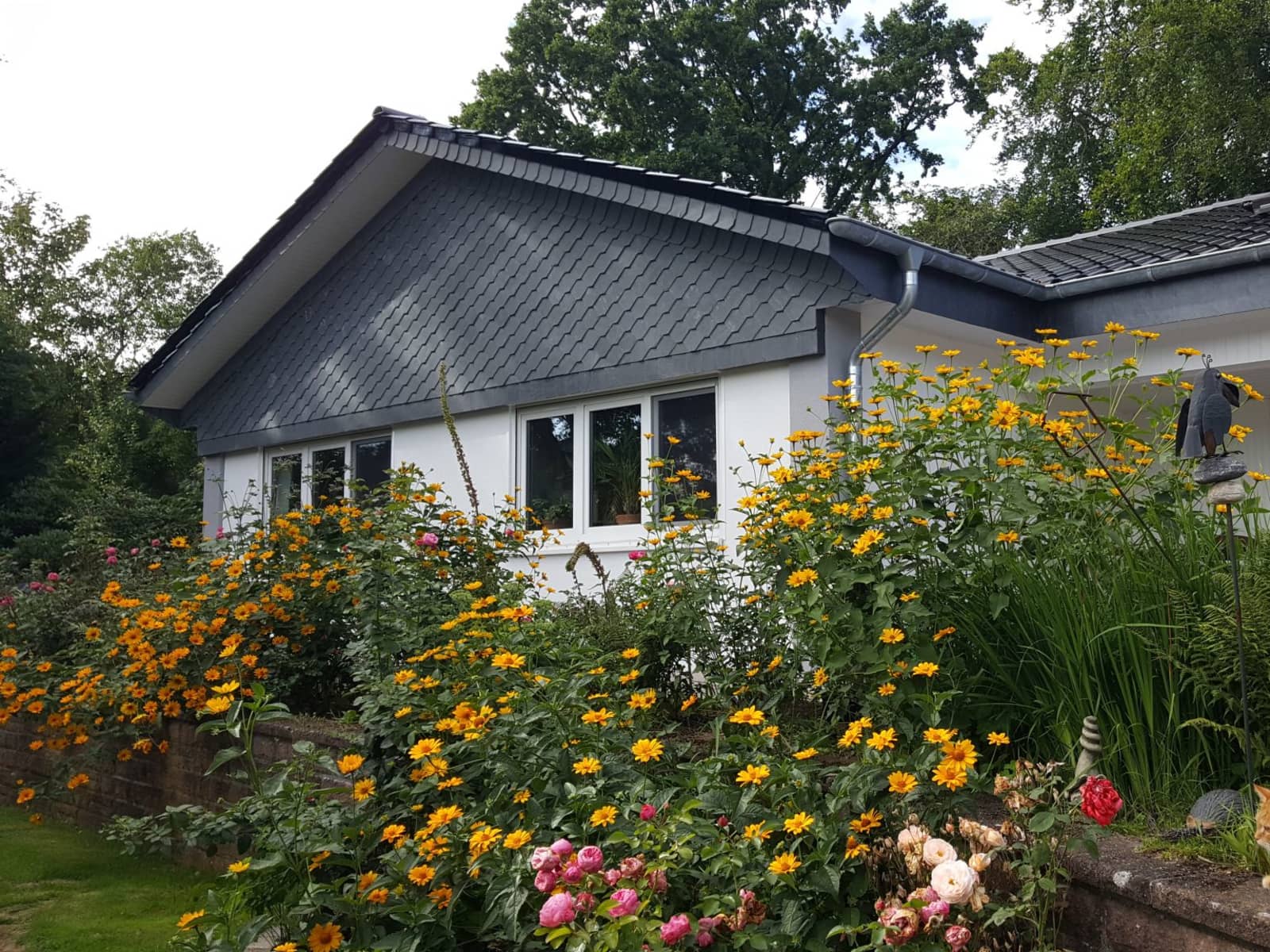 Housesitting assignment in Buchholz in der Nordheide, Germany