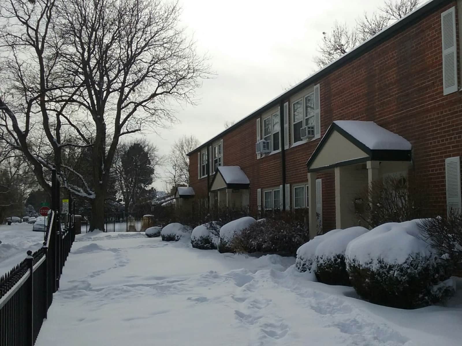 Housesitting assignment in Denver, Colorado, United States