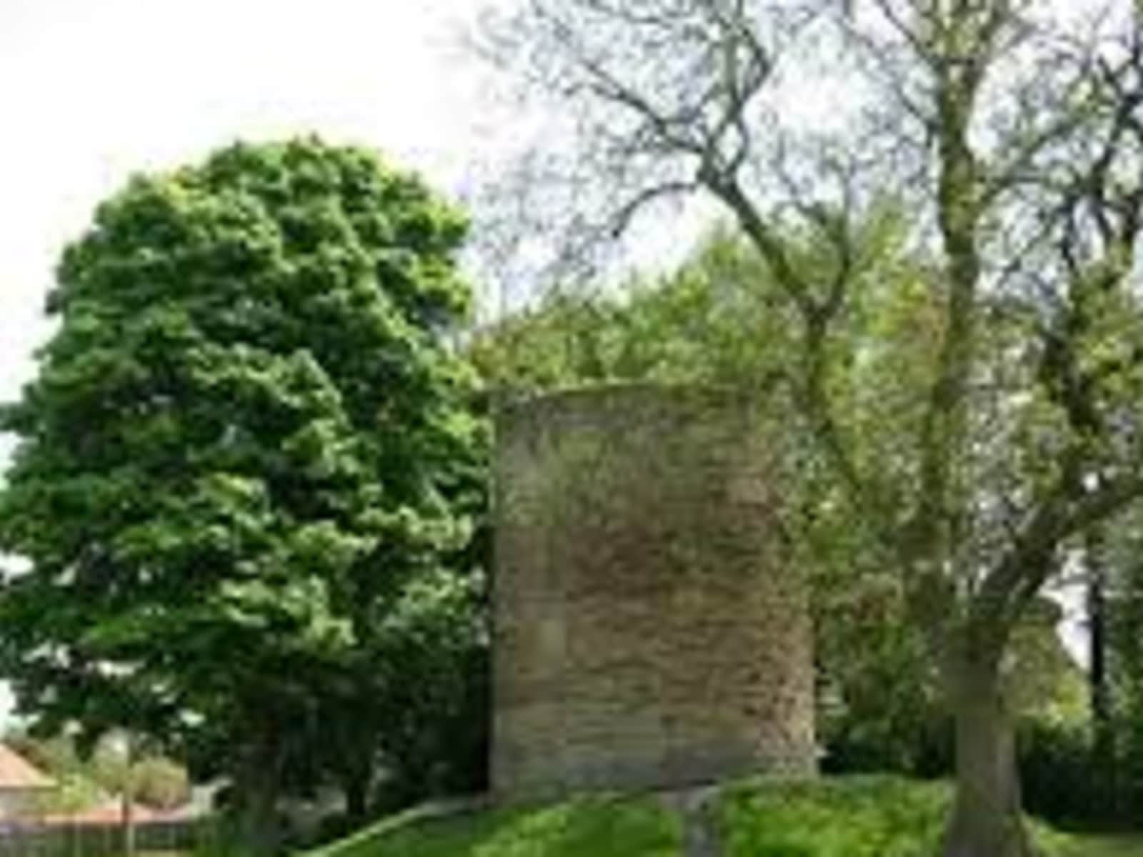 Housesitting assignment in Whickham, United Kingdom