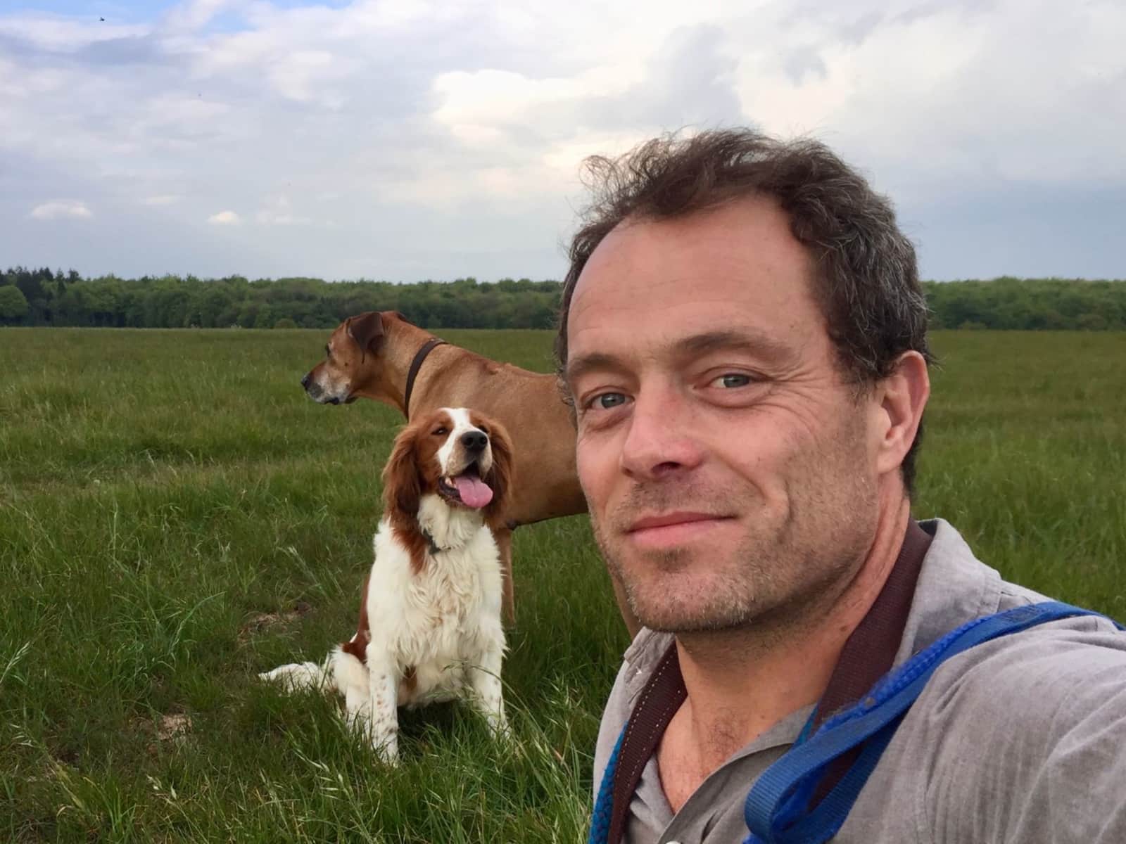 Tom from Flushing, United Kingdom