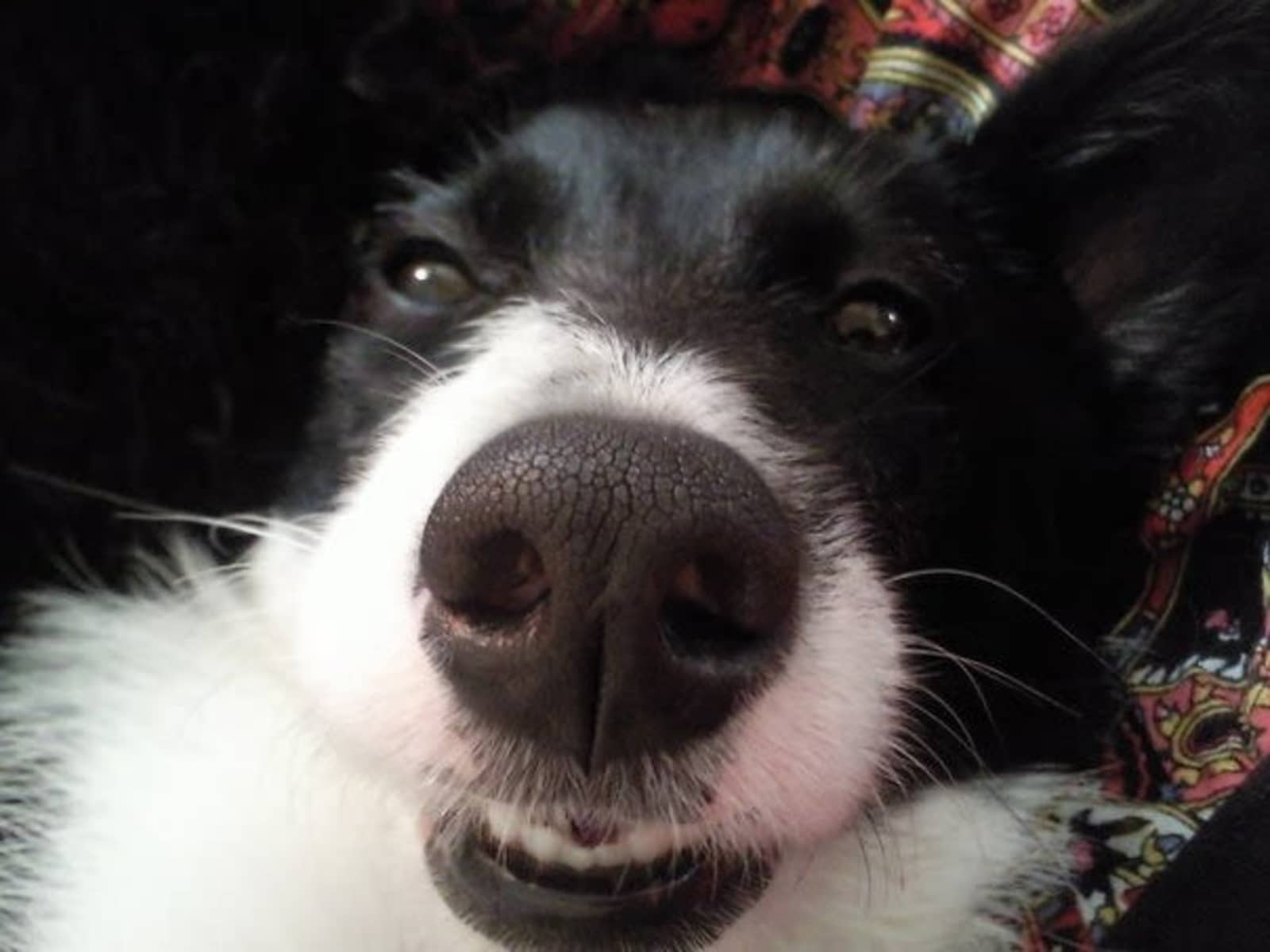 Angie & Siôn from Cardiff, United Kingdom